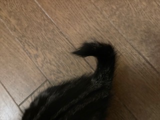 No.18019の写真