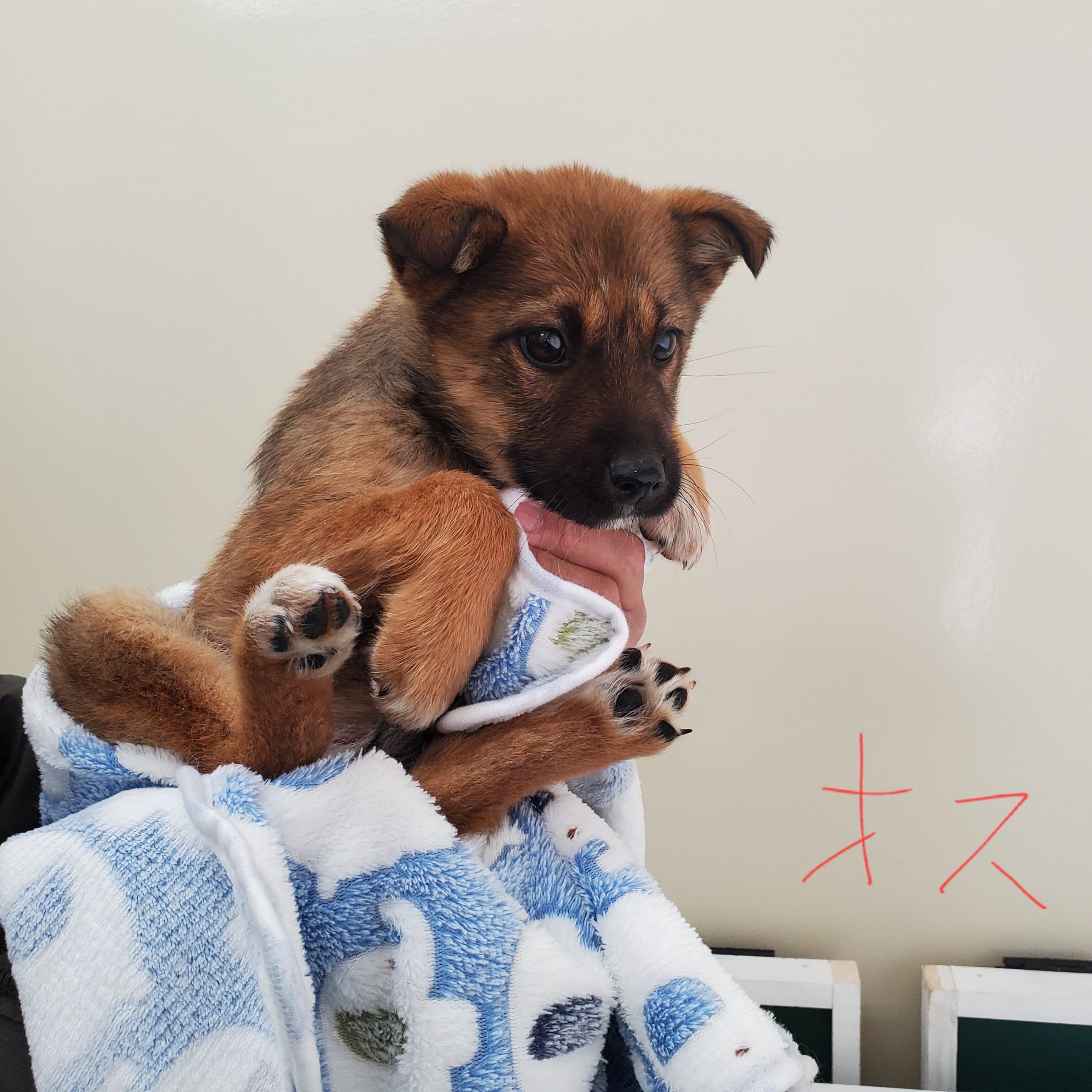 No.18330の写真