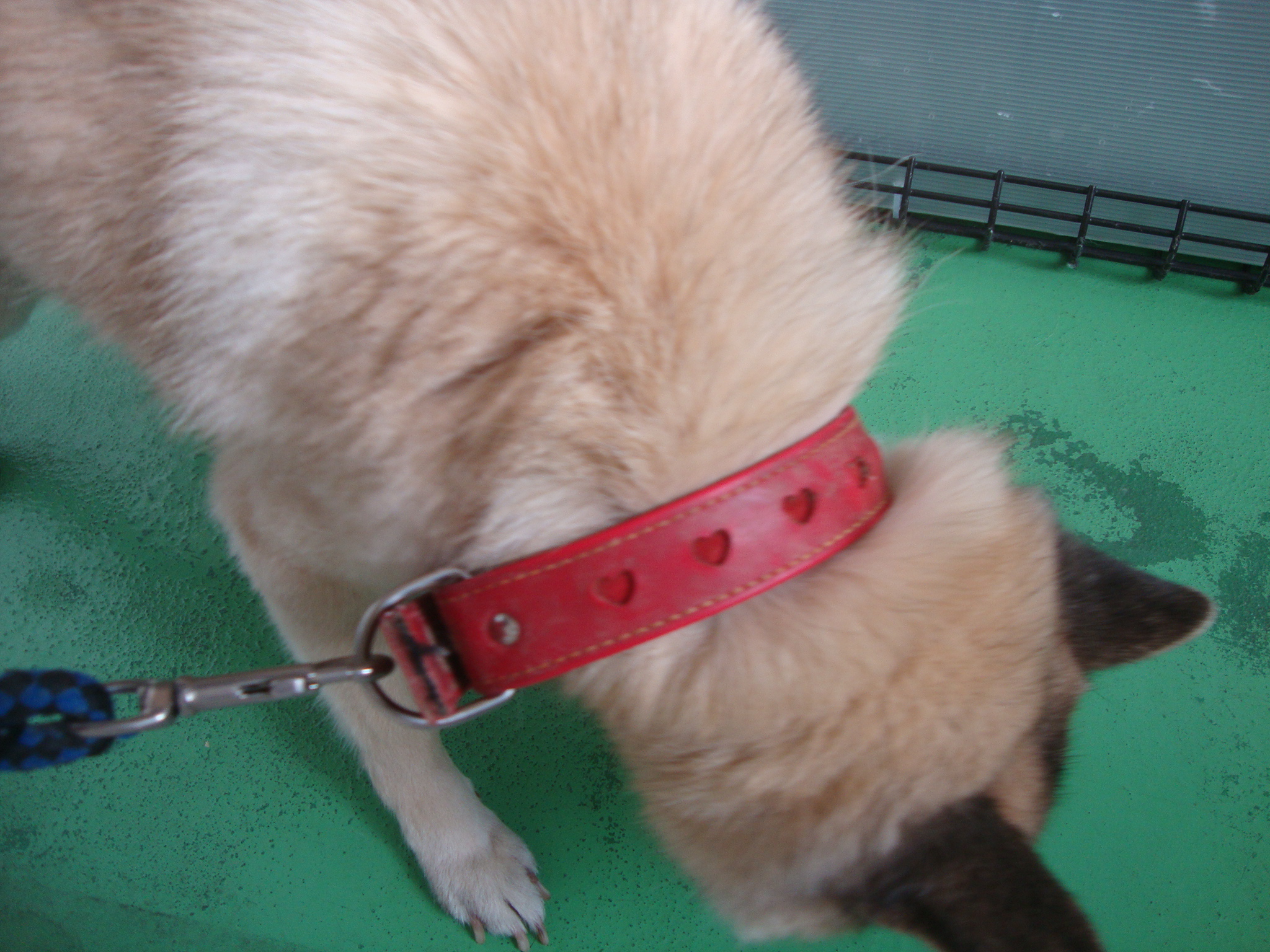 No.18355の写真