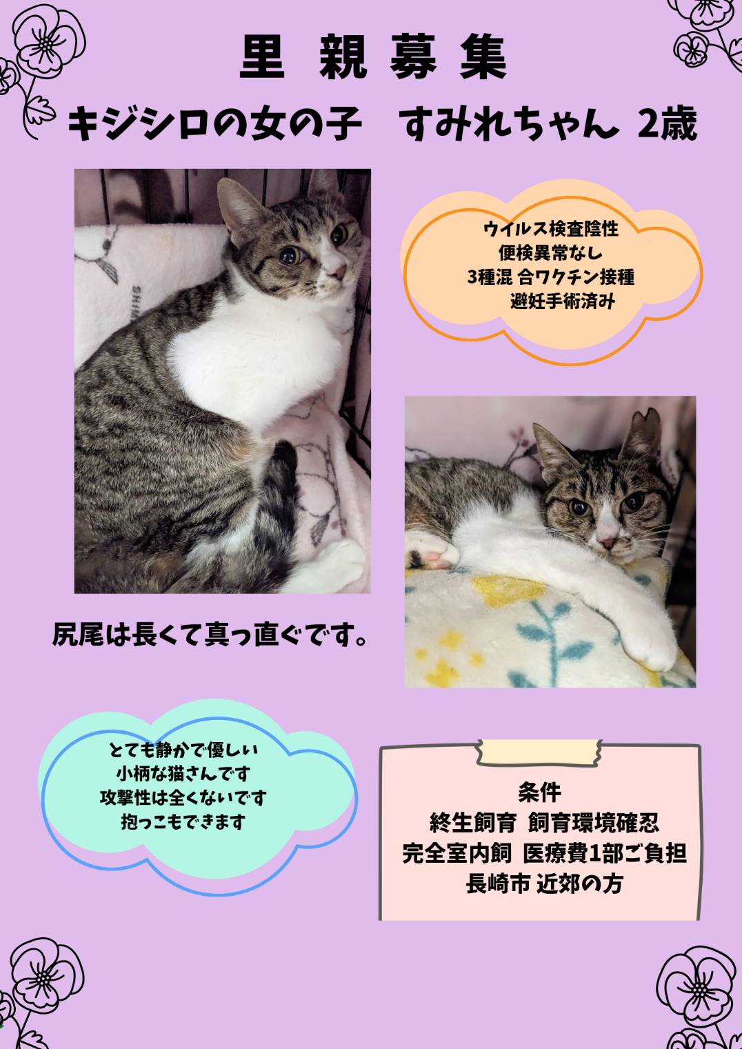 No.18338の写真