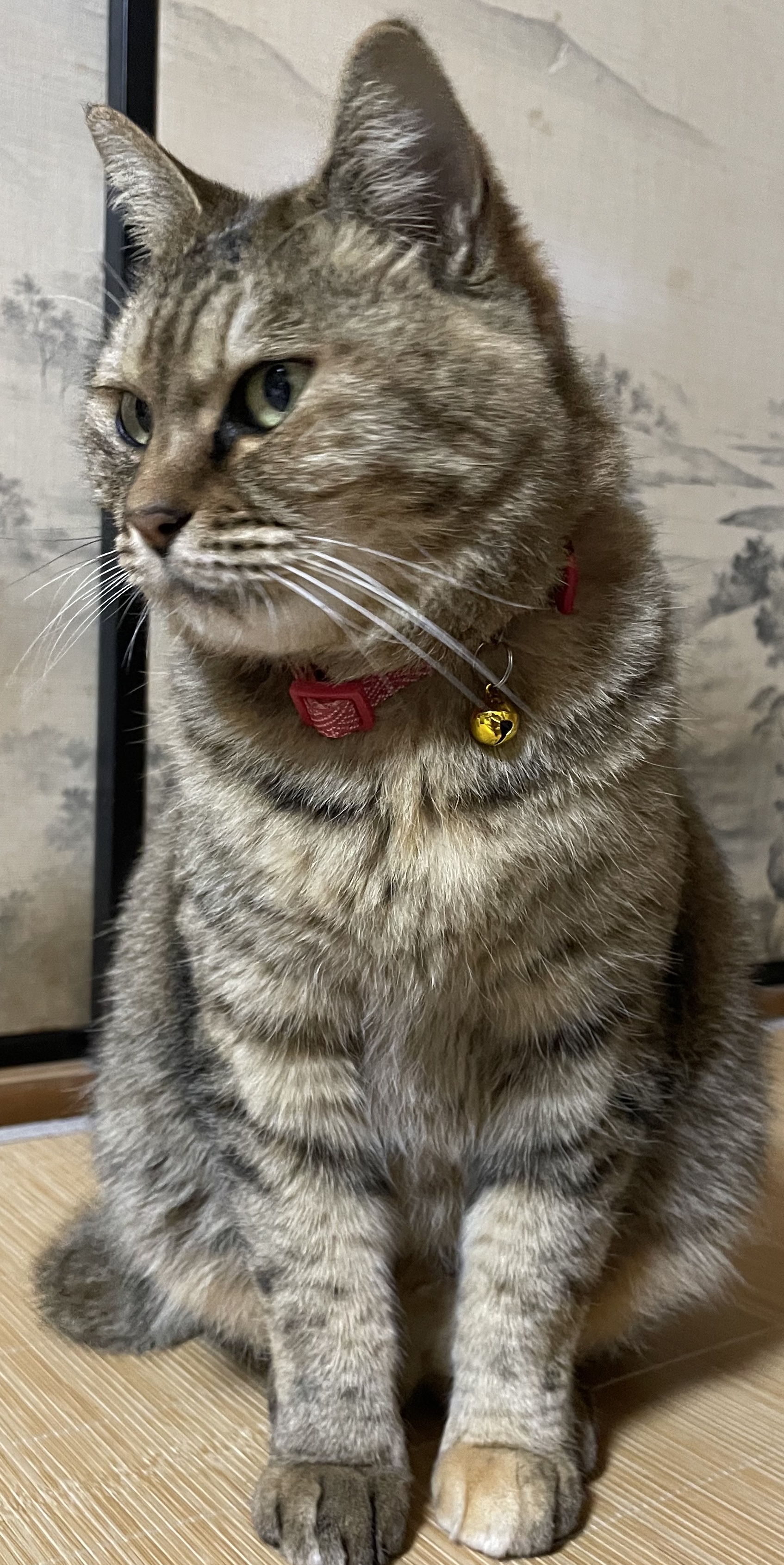 No.18340の写真
