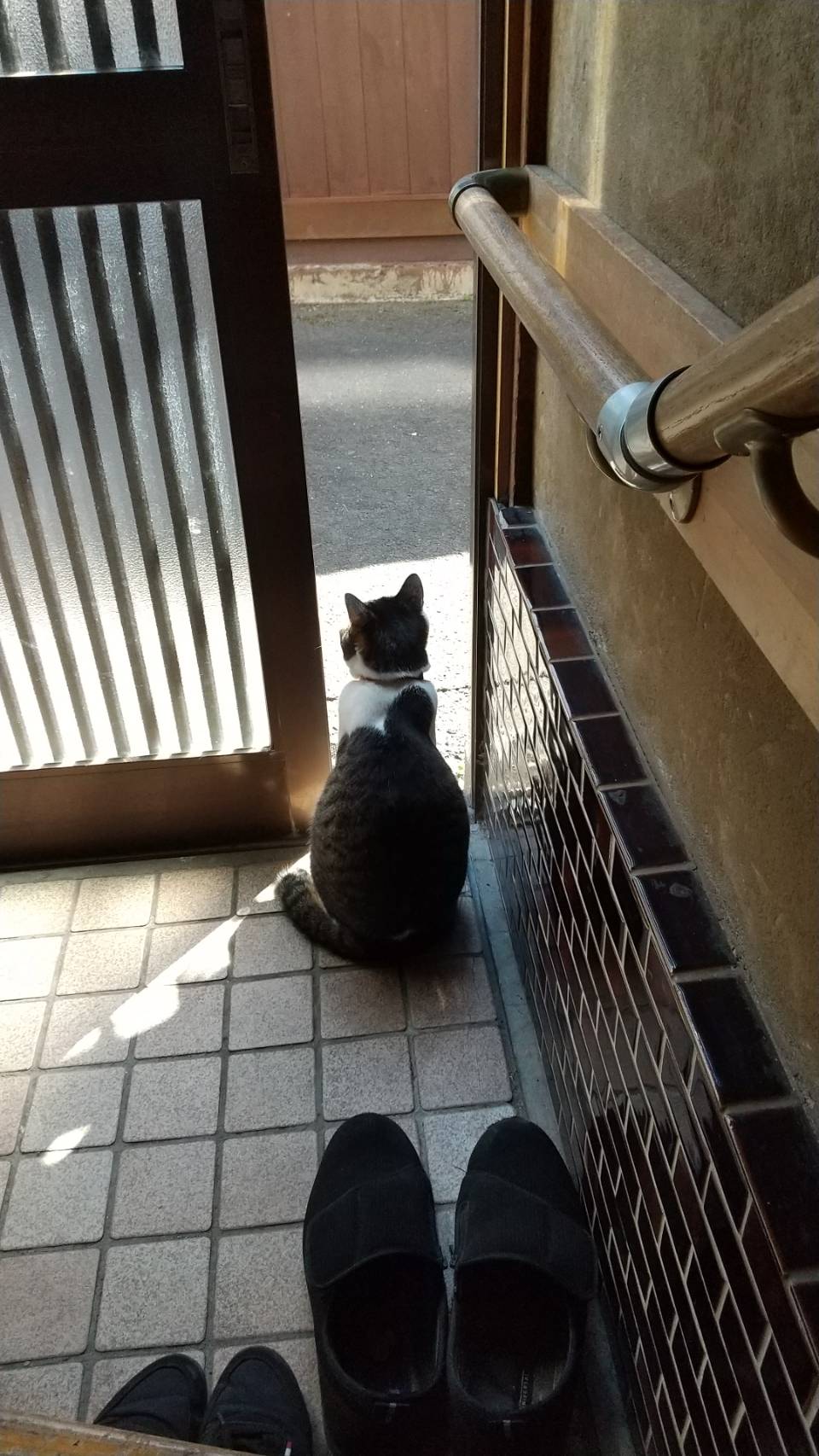 No.18343の写真