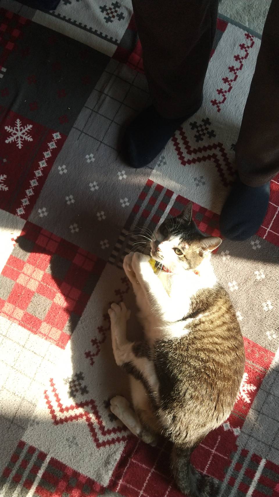 No.18343の写真