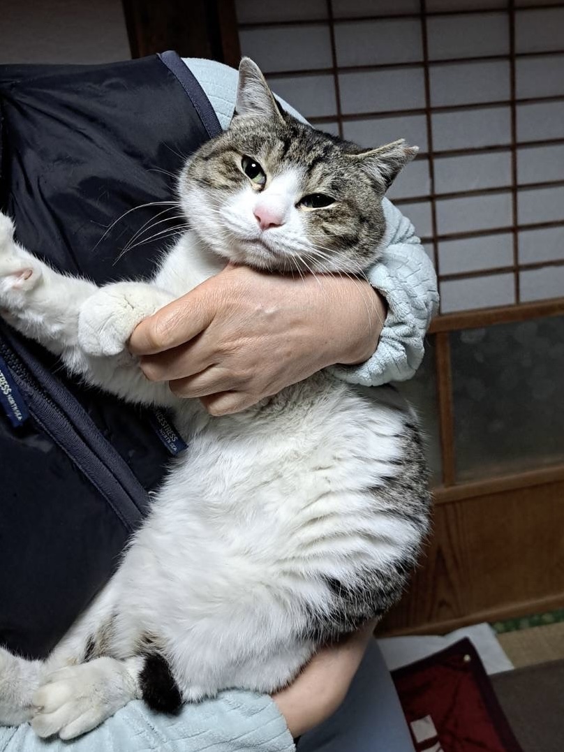 No.18357の写真