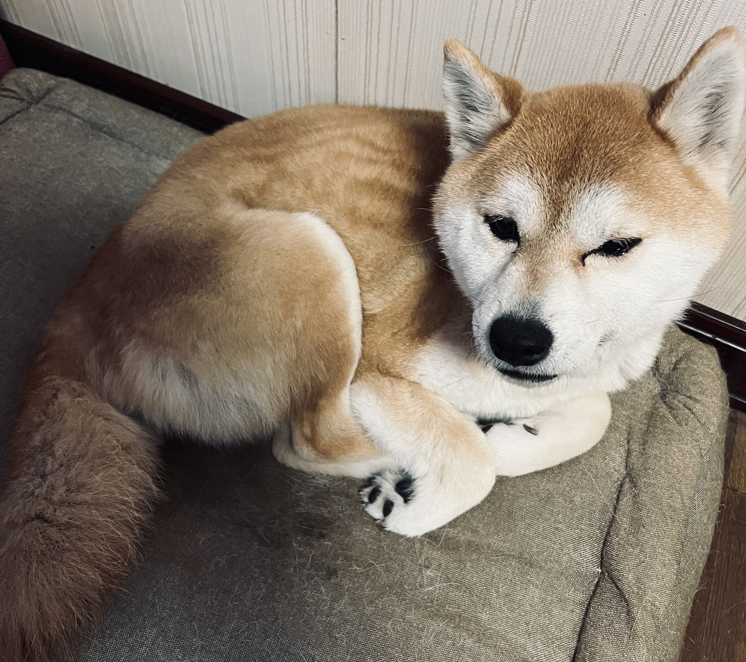 No.18496の写真