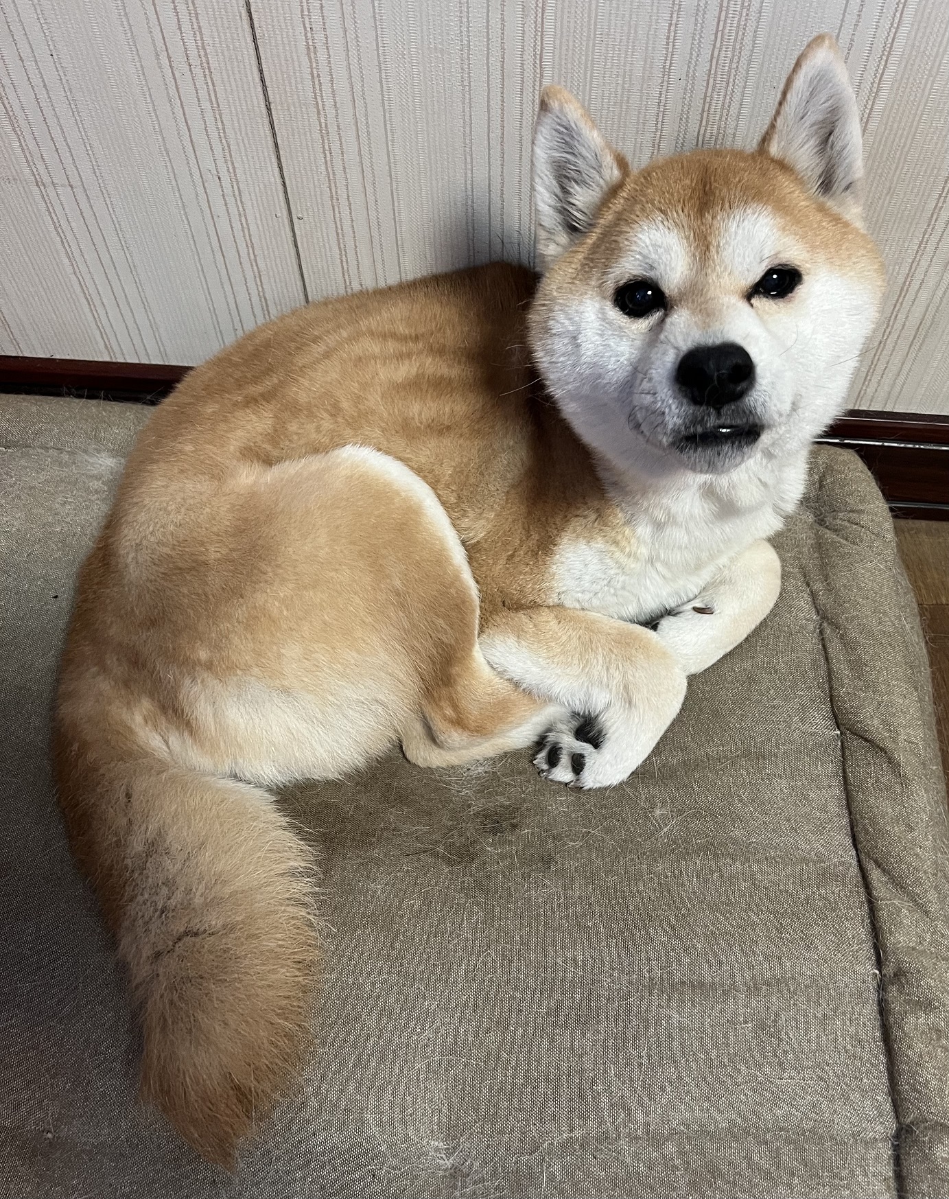 No.18496の写真