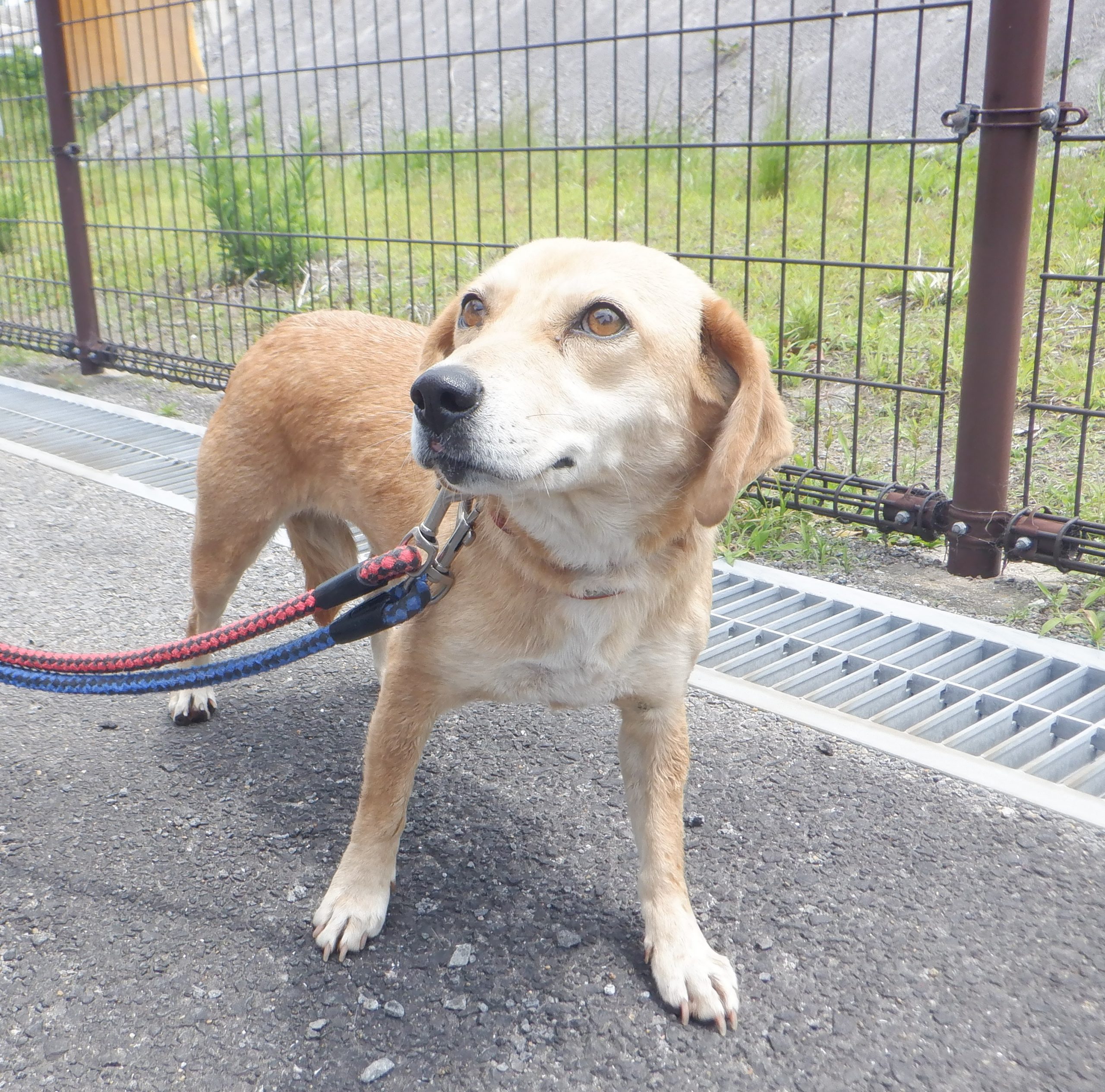 No.18553の写真