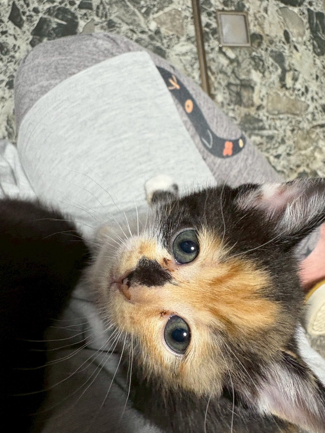 No.18518の写真