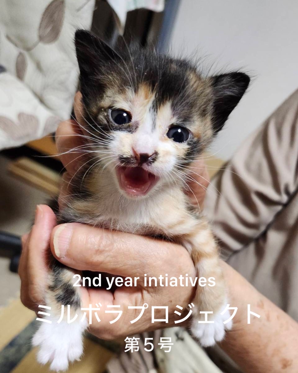 No.18547の写真