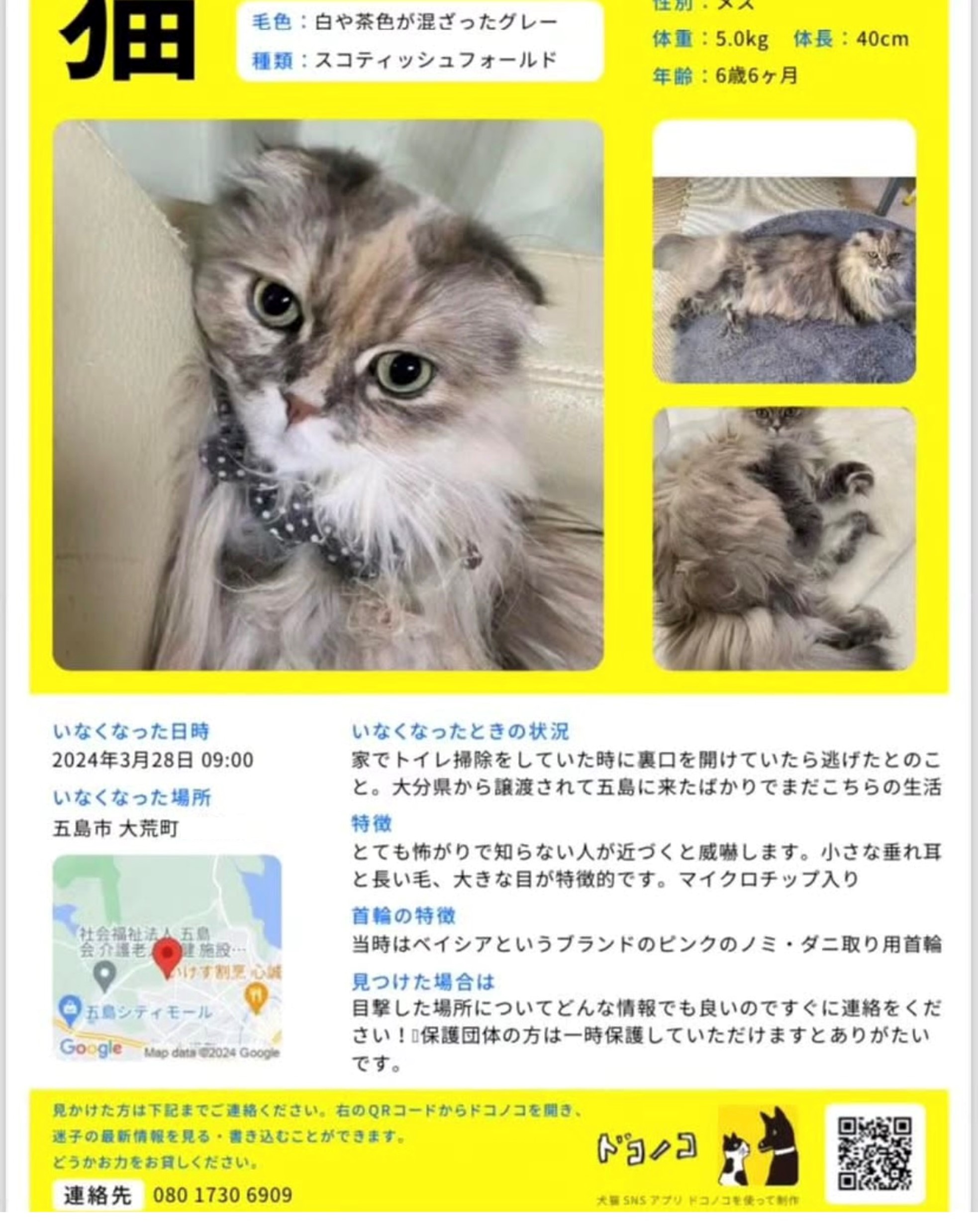 No.18584の写真