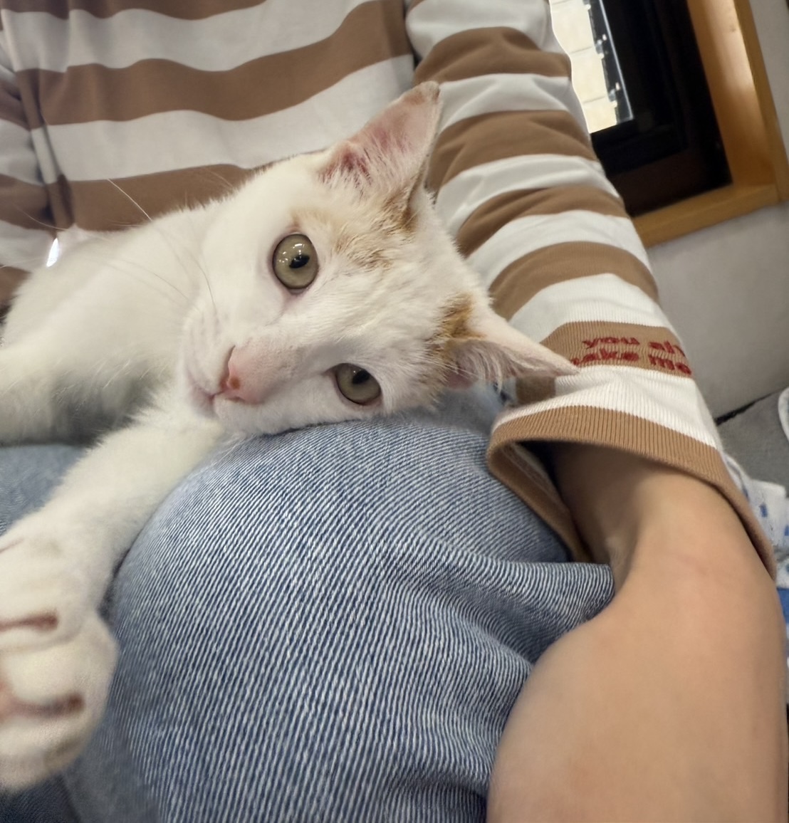 No.18511の写真