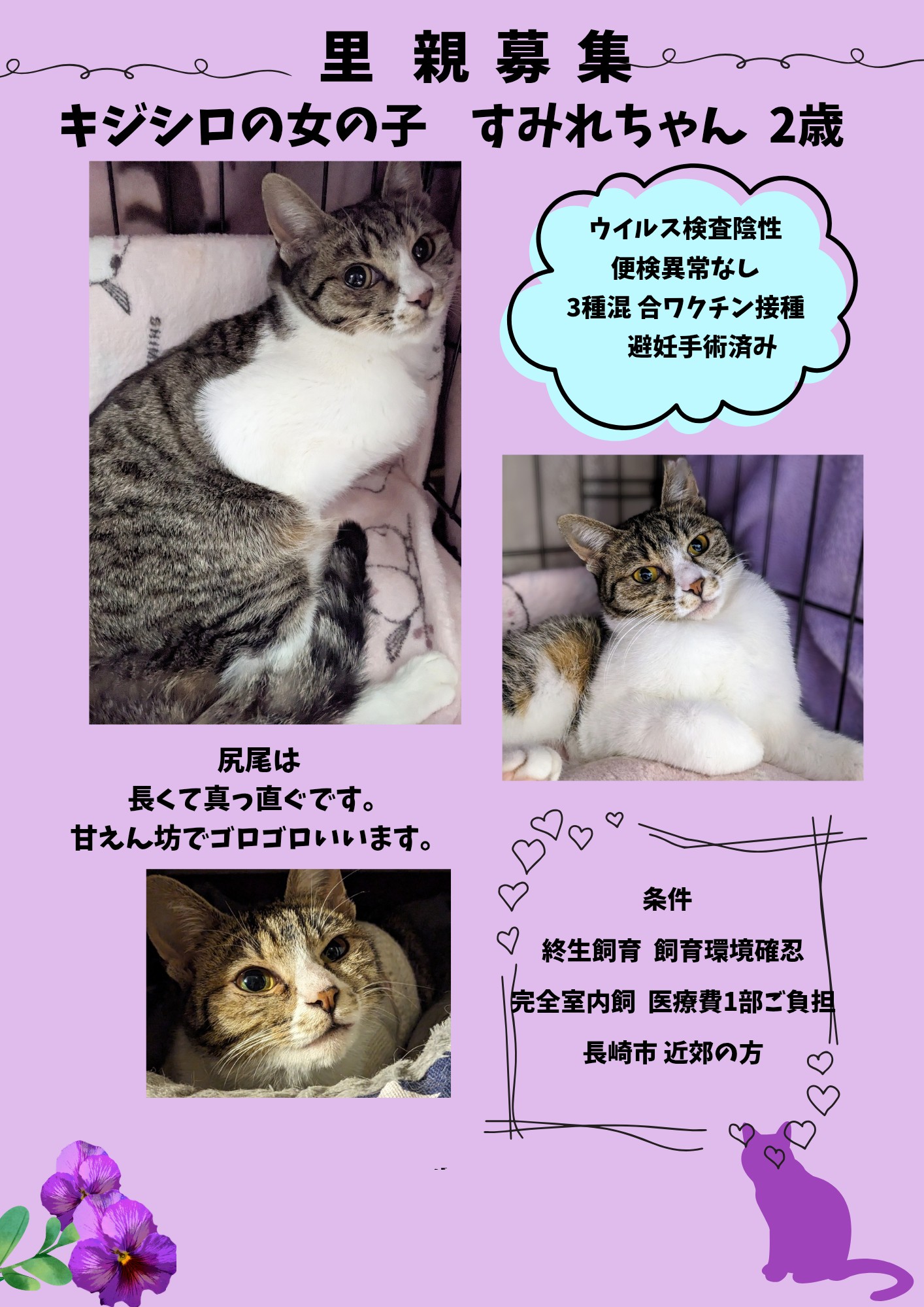 No.18528の写真