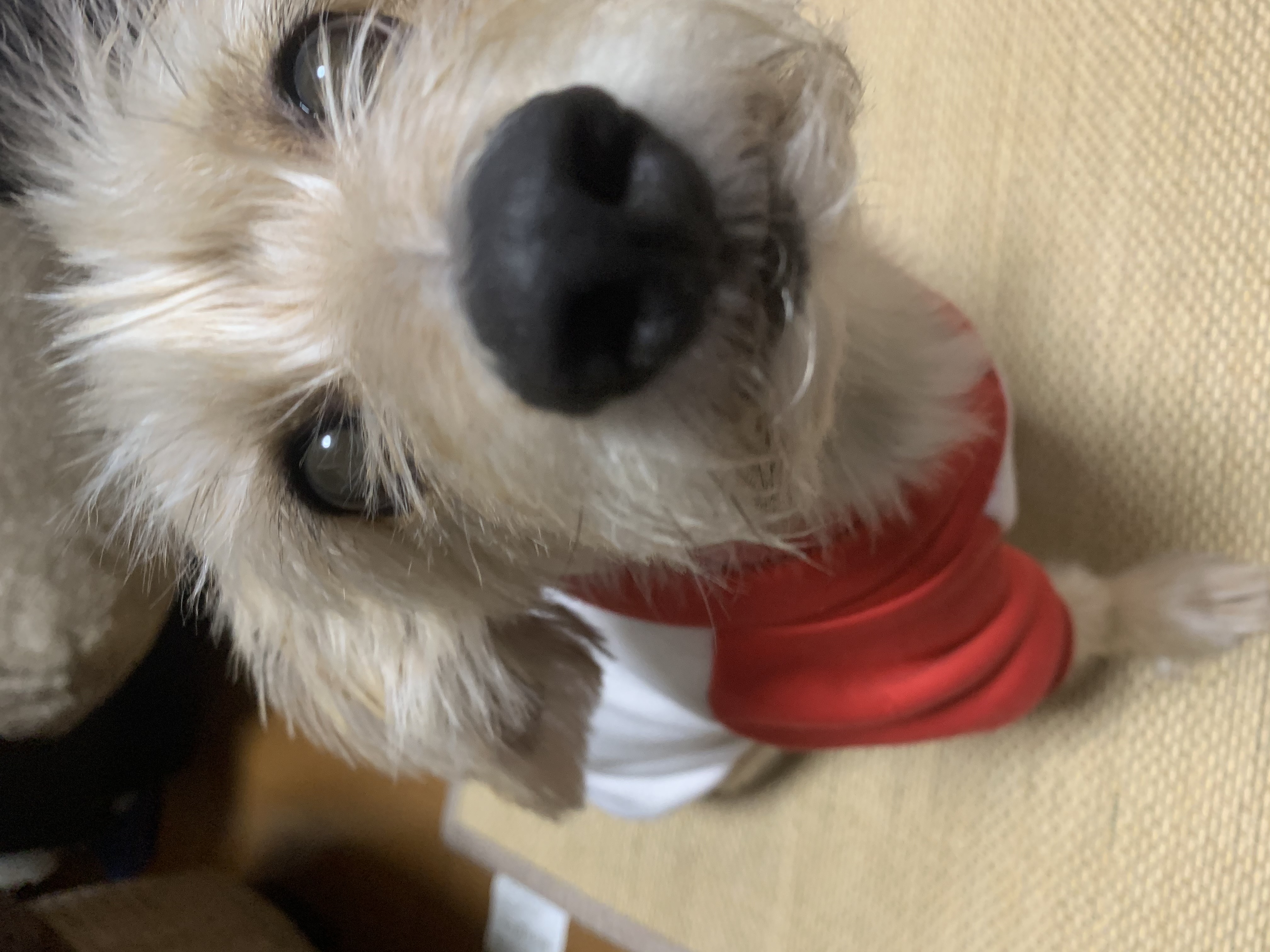 No.18551の写真