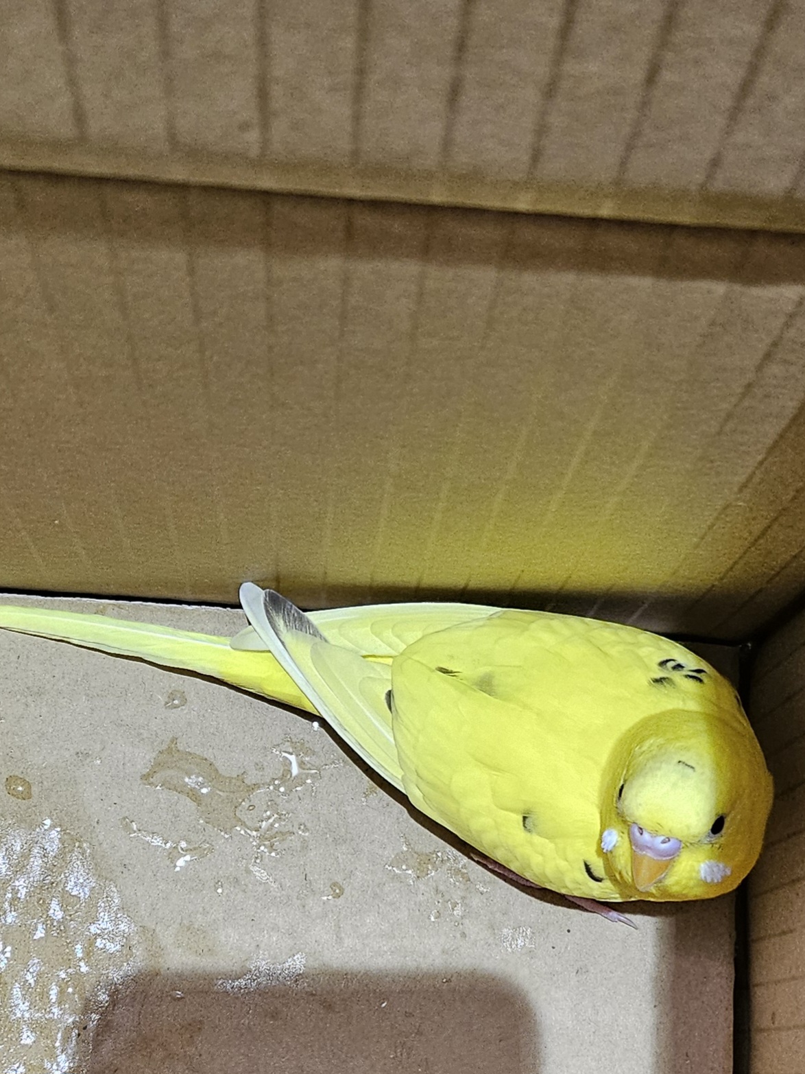 No.18560の写真