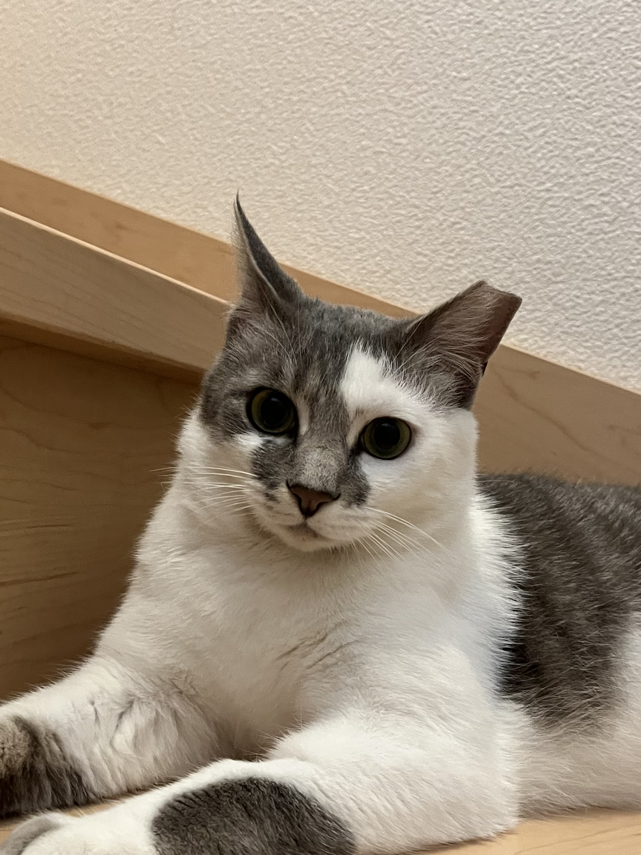 No.18527の写真
