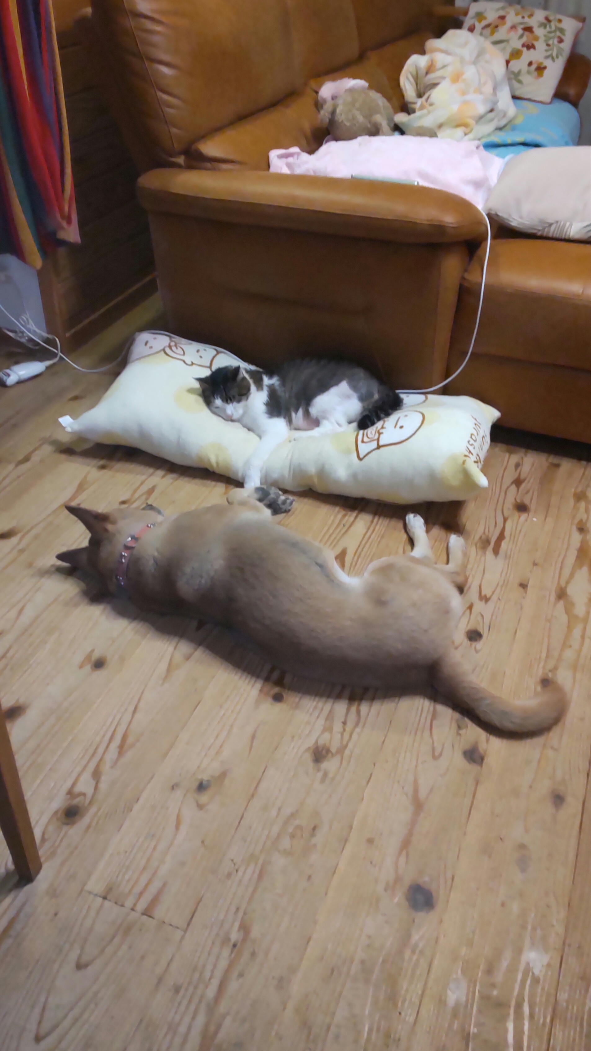 No.18543の写真