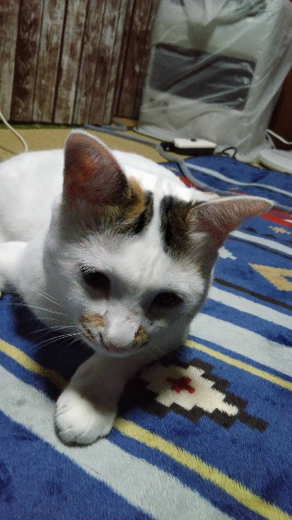 No.18558の写真