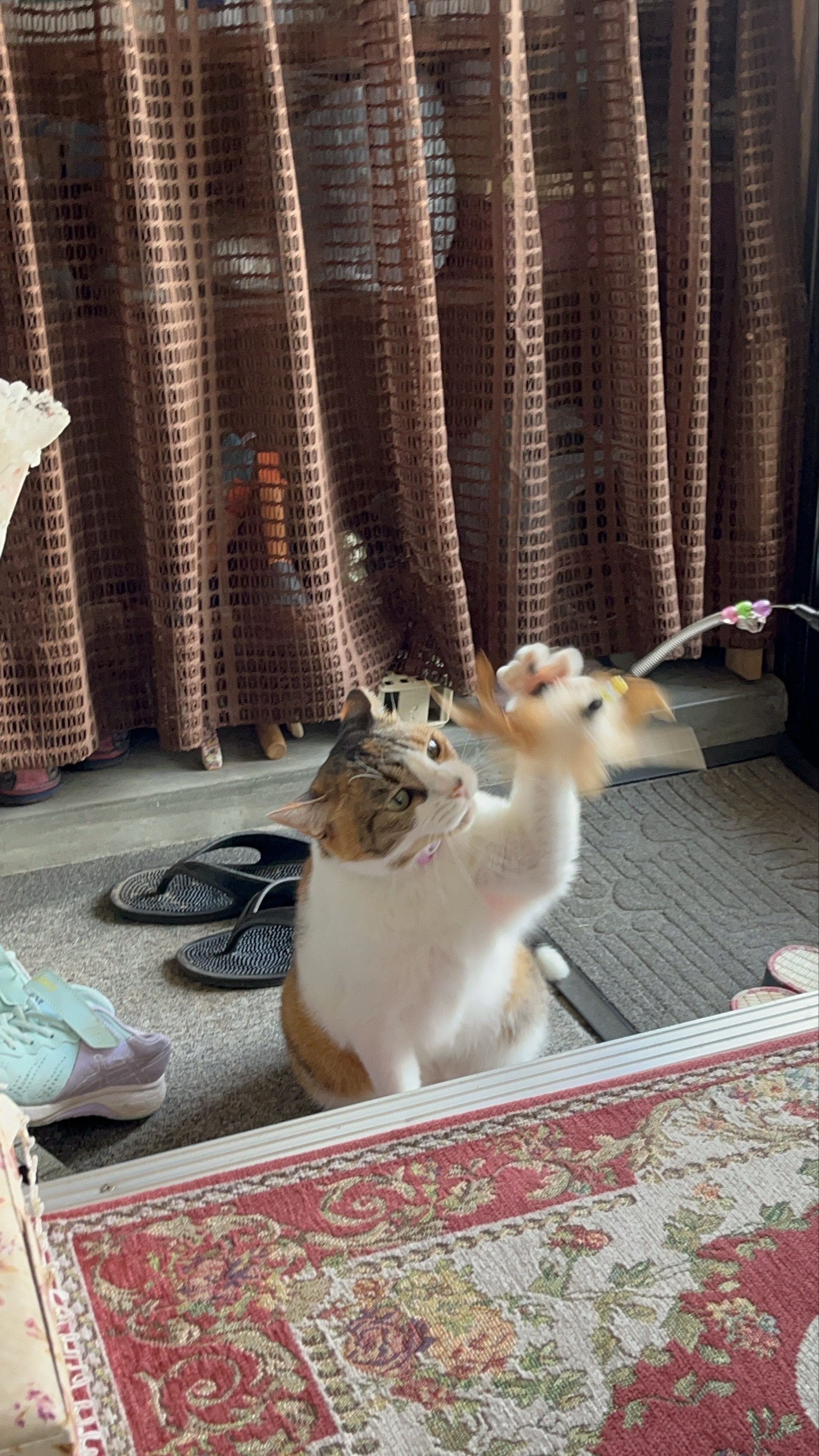 No.18605の写真