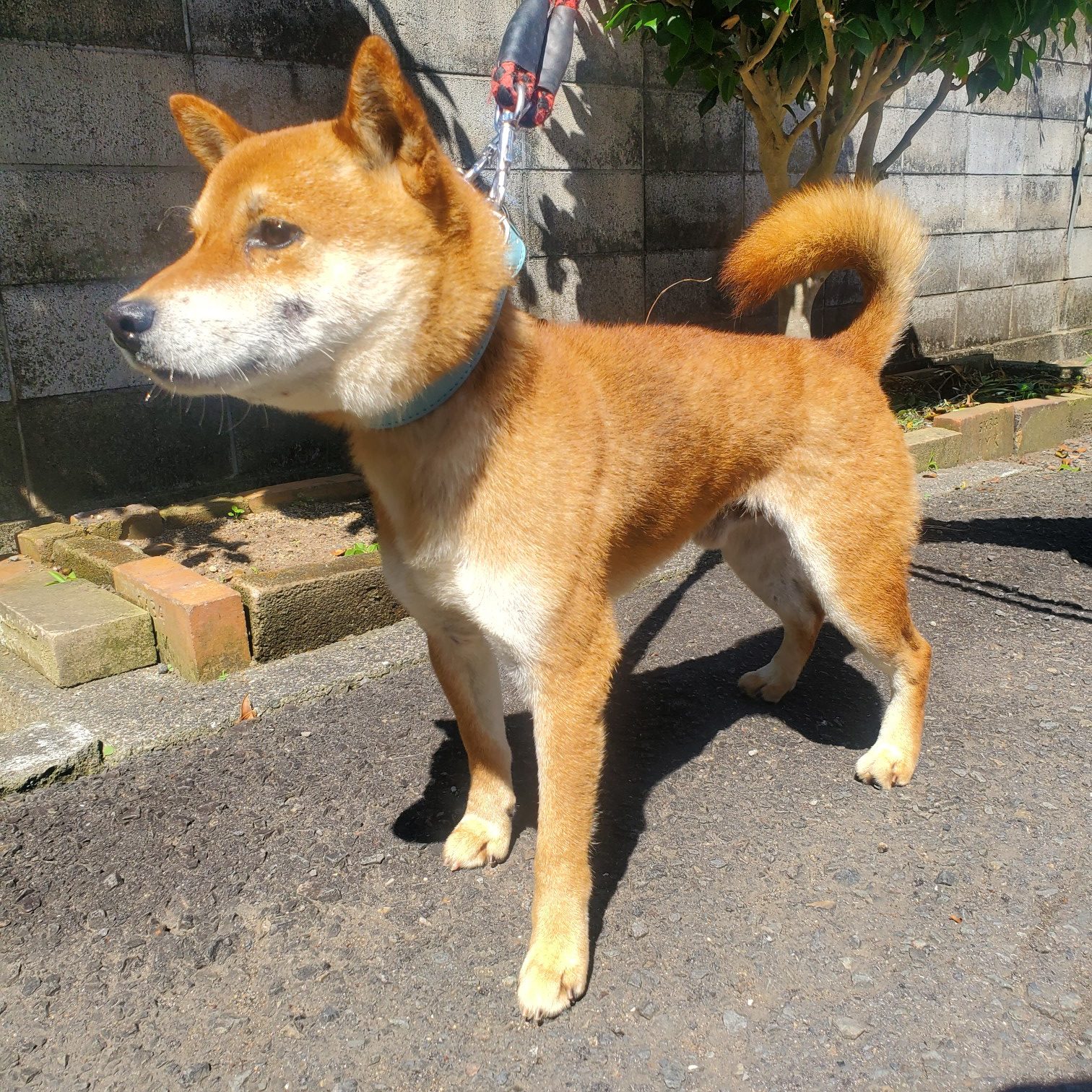 No.18629の写真