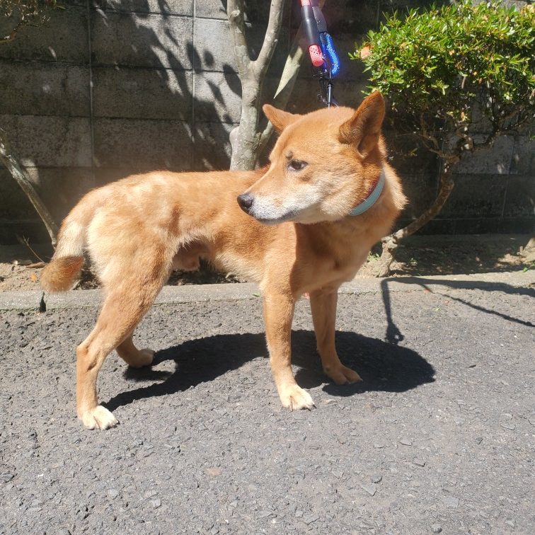 No.18631の写真