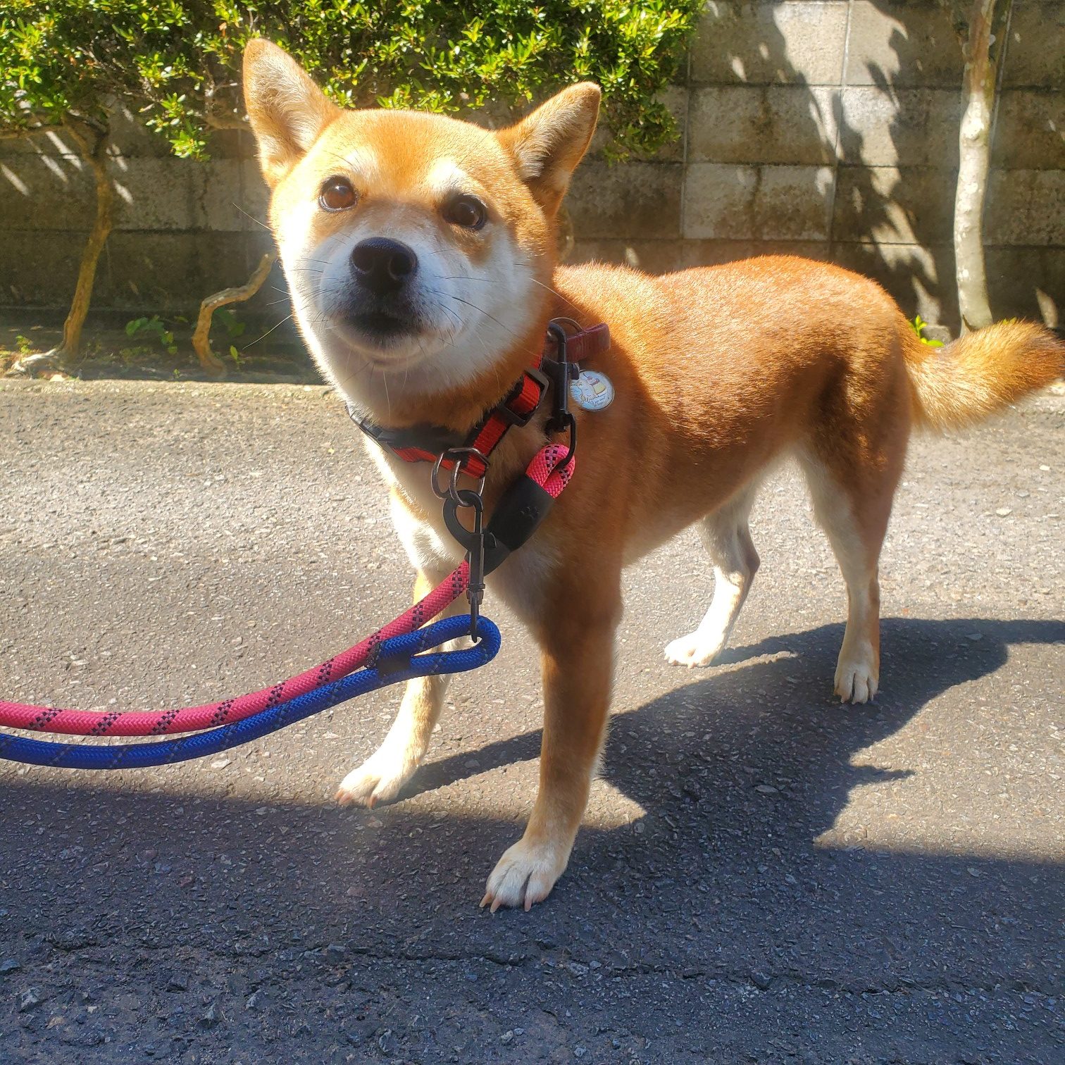 No.18634の写真