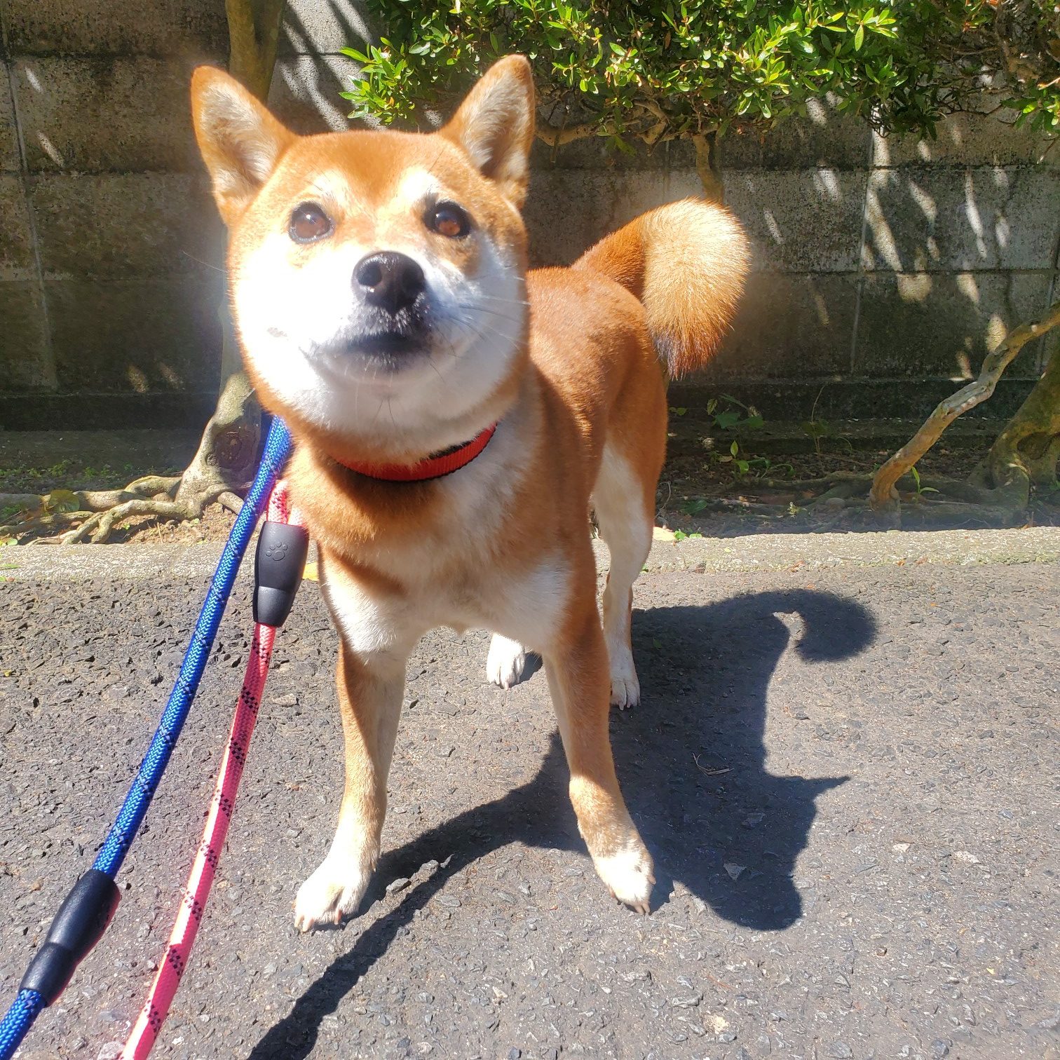 No.18634の写真