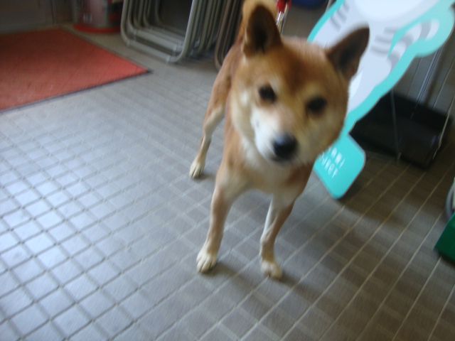 No.18633の写真