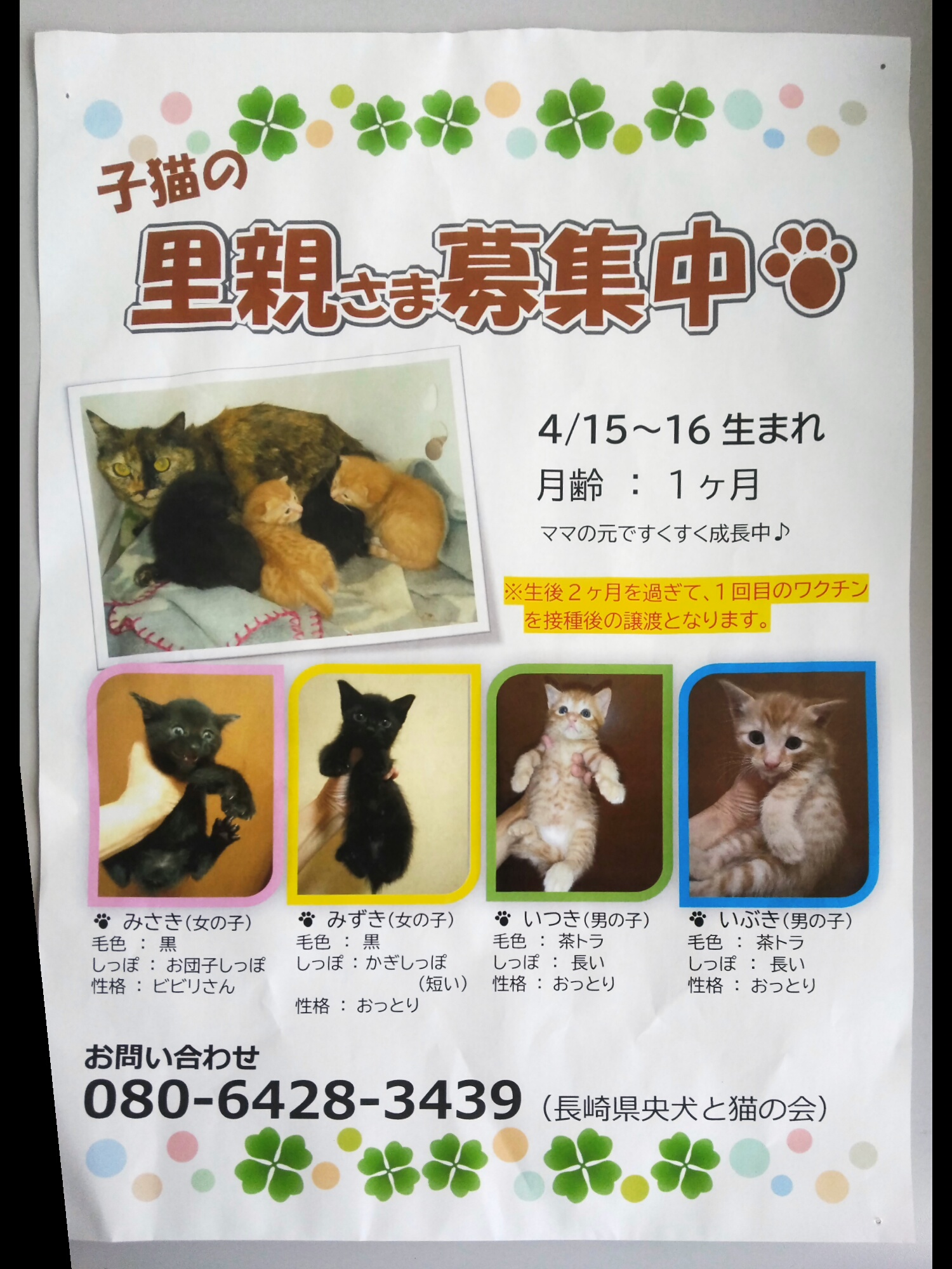 No.18718の写真