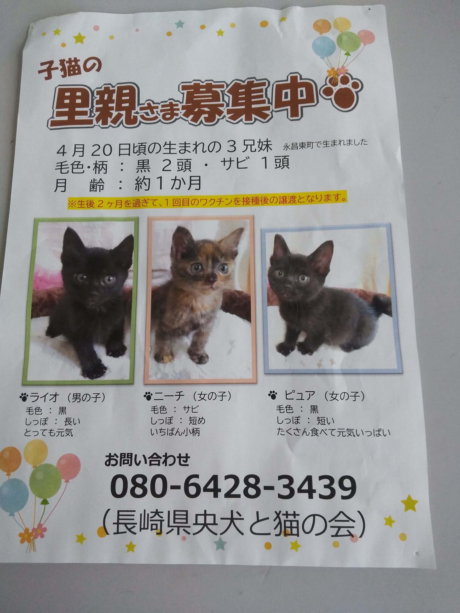 No.18718の写真