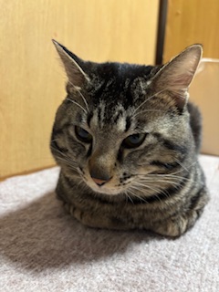 No.18660の写真