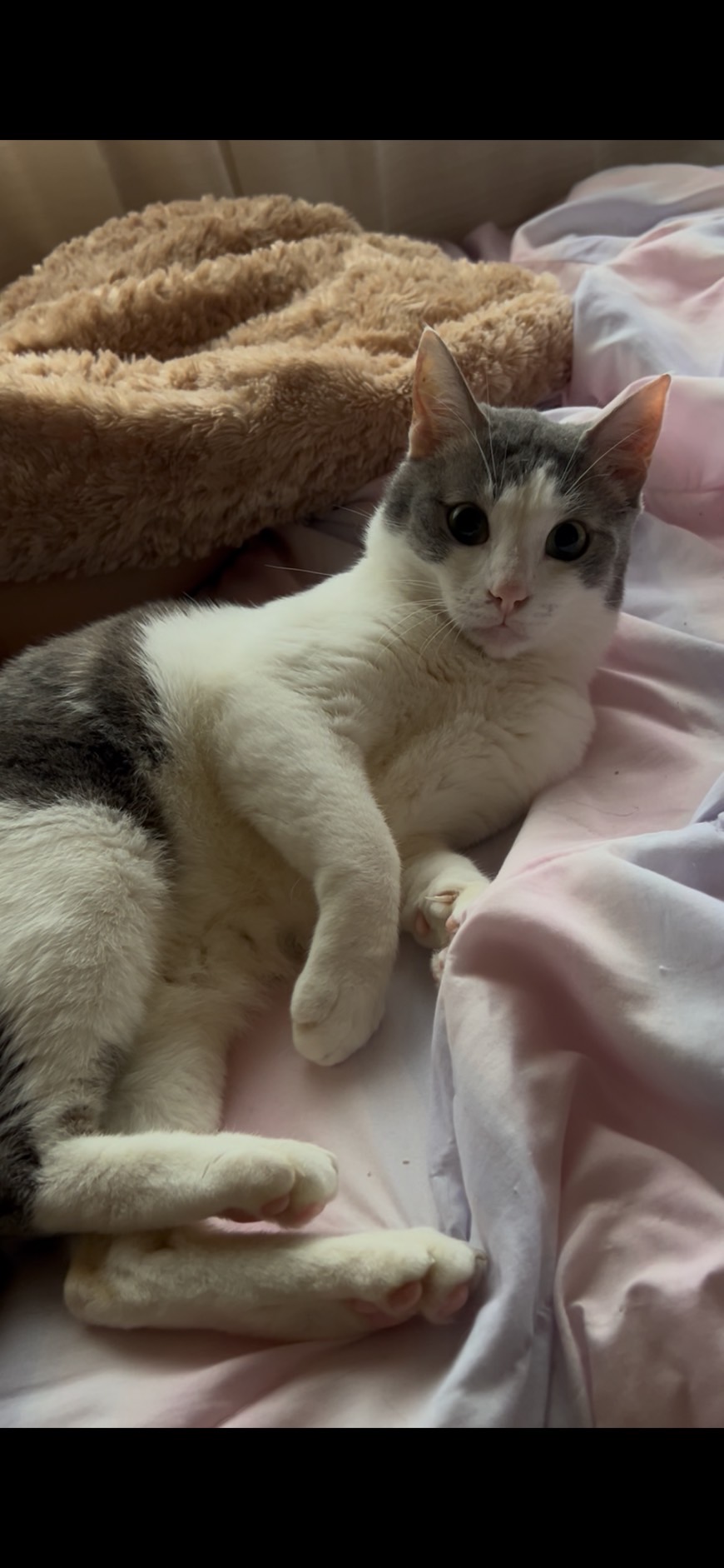 No.18712の写真