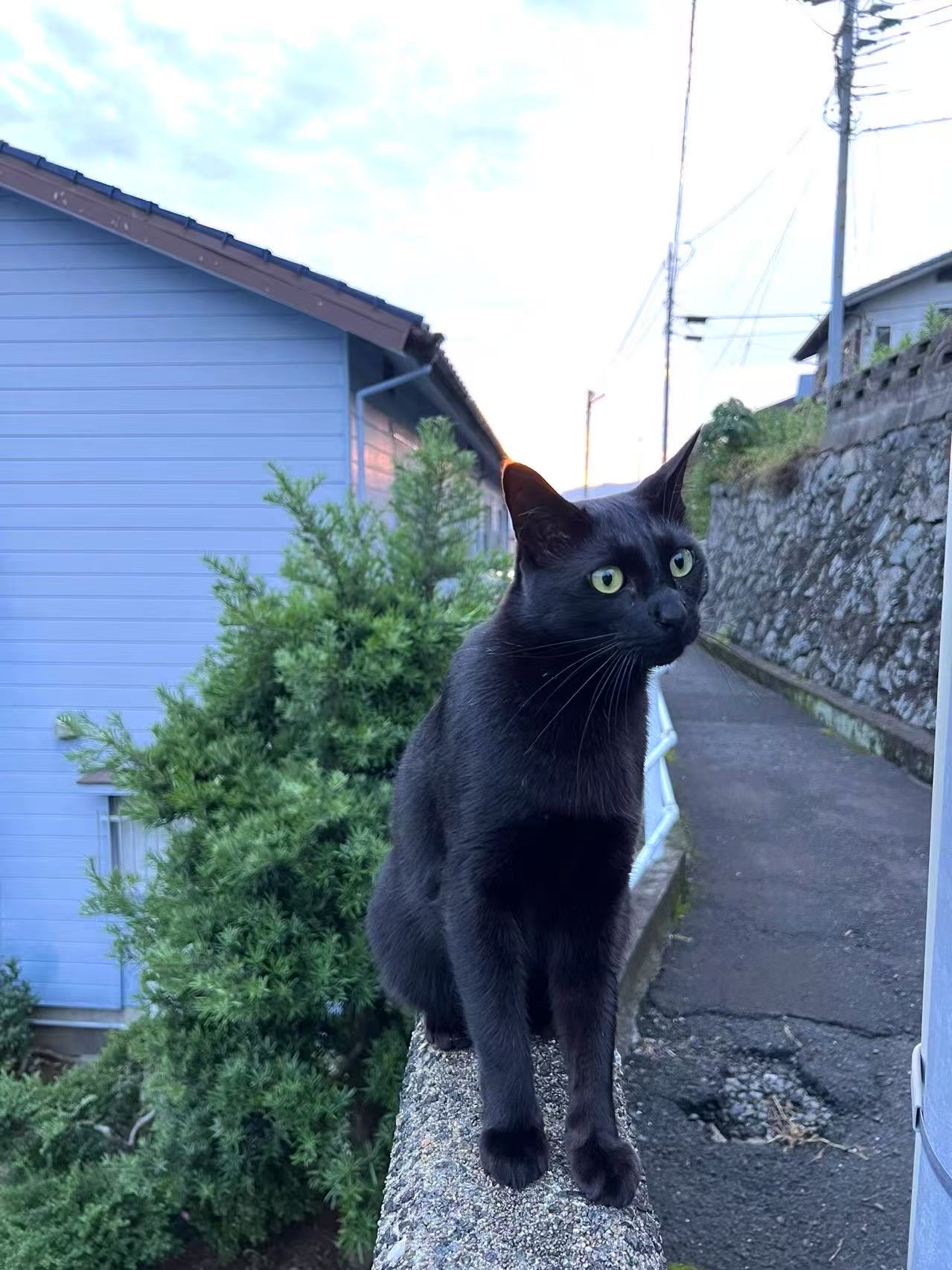 No.18717の写真