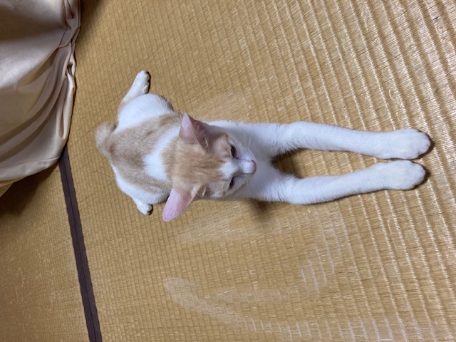 No.18628の写真