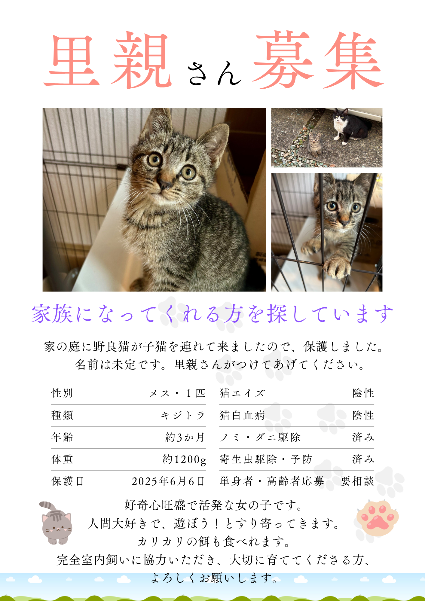 No.18657の写真