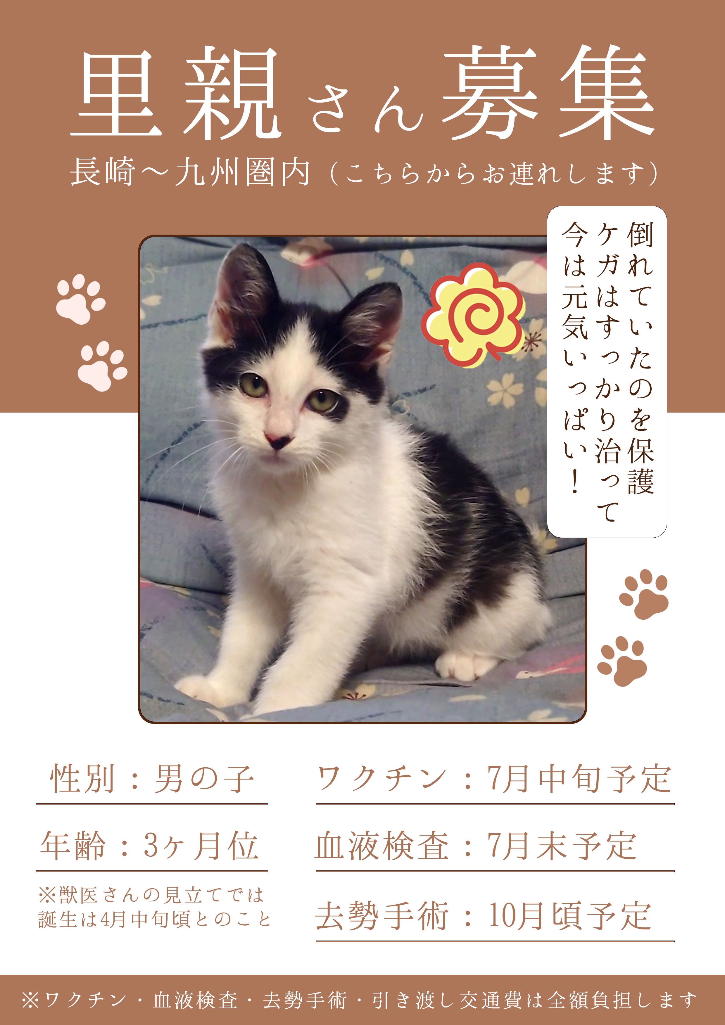 No.18720の写真