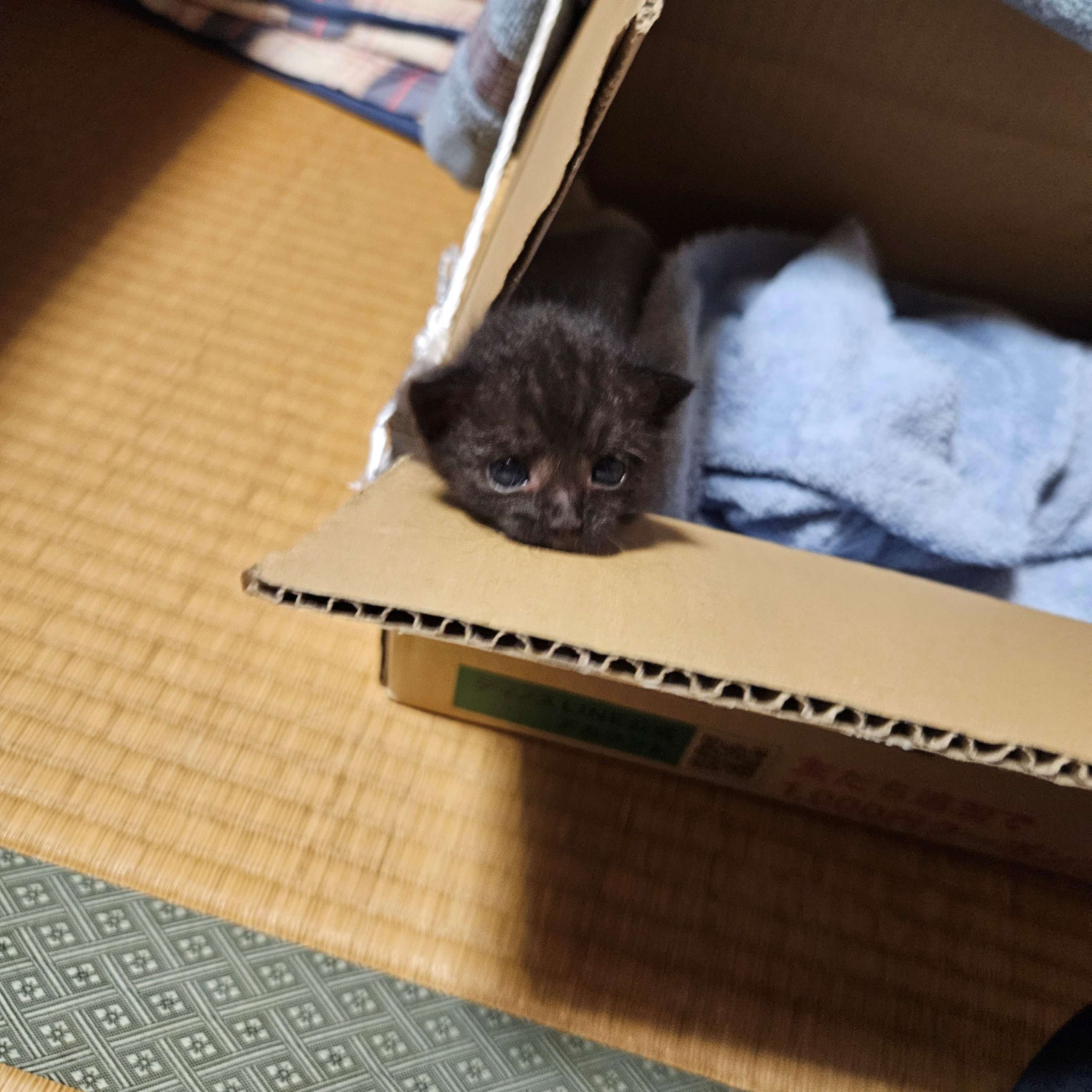 No.18722の写真