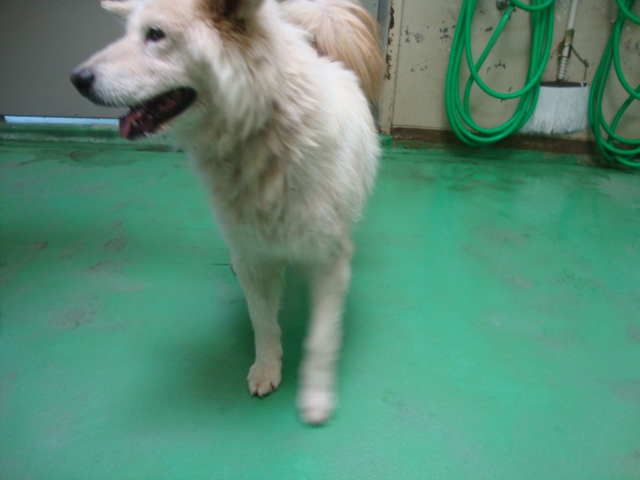 No.18731の写真