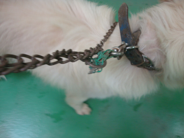 No.18731の写真