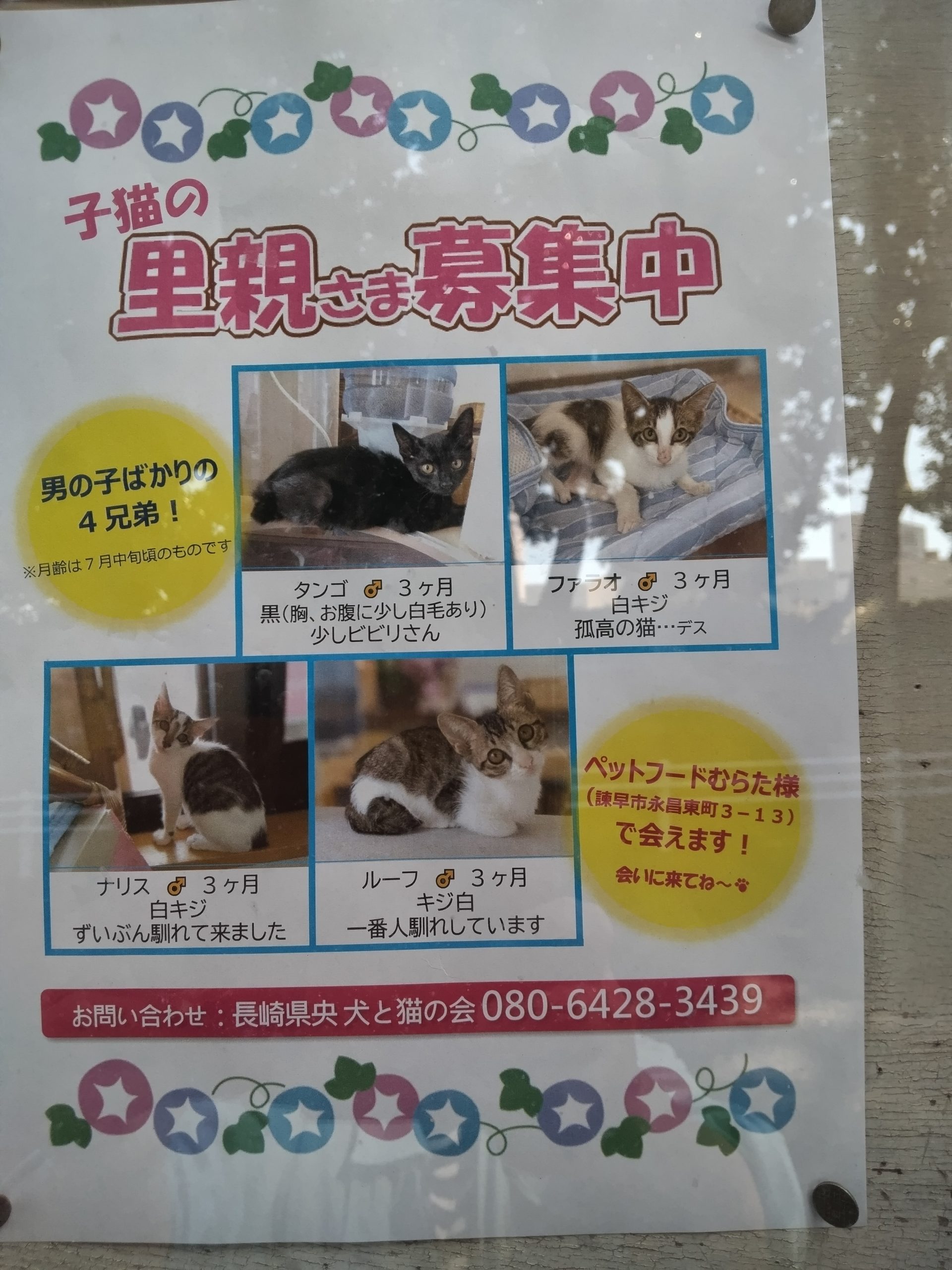 No.18800の写真