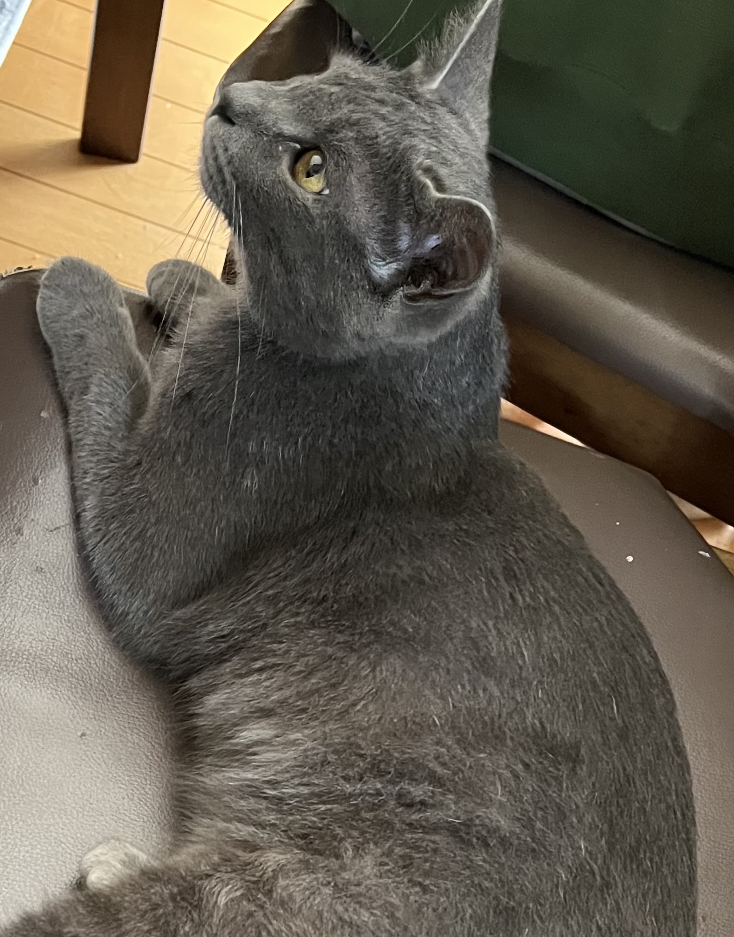 No.18738の写真