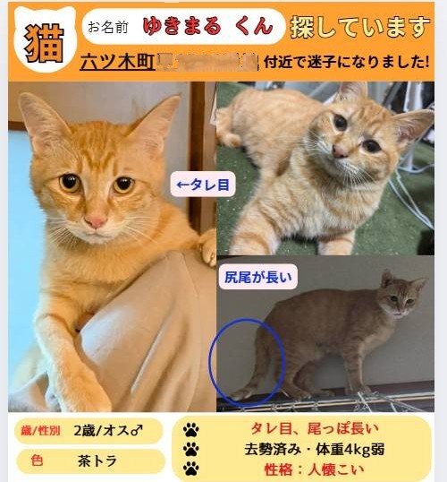 No.18802の写真