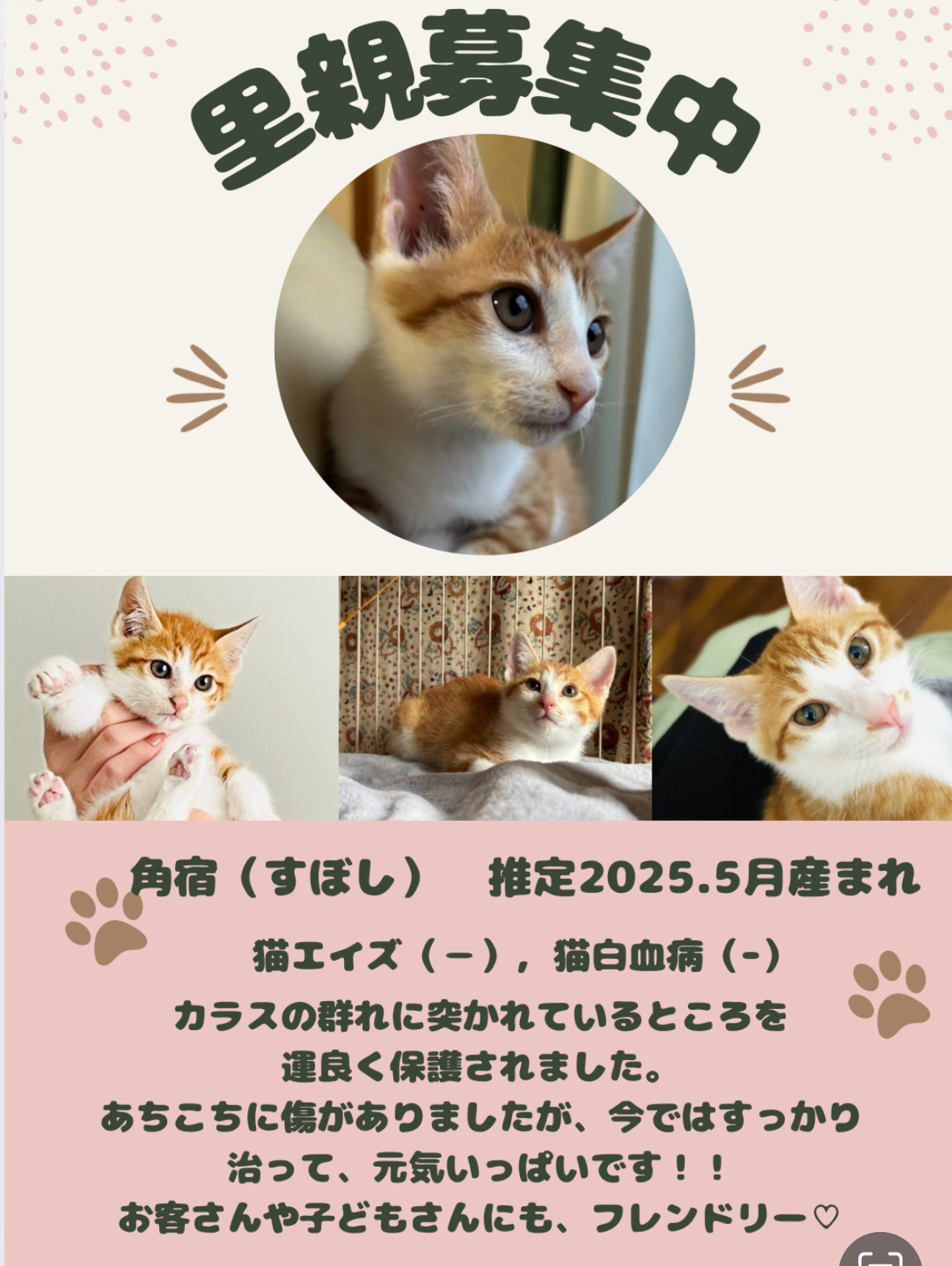 No.18820の写真