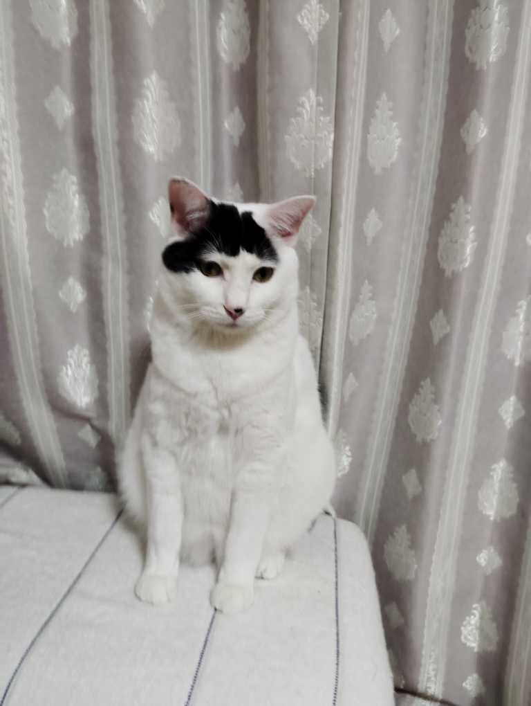No.18791の写真