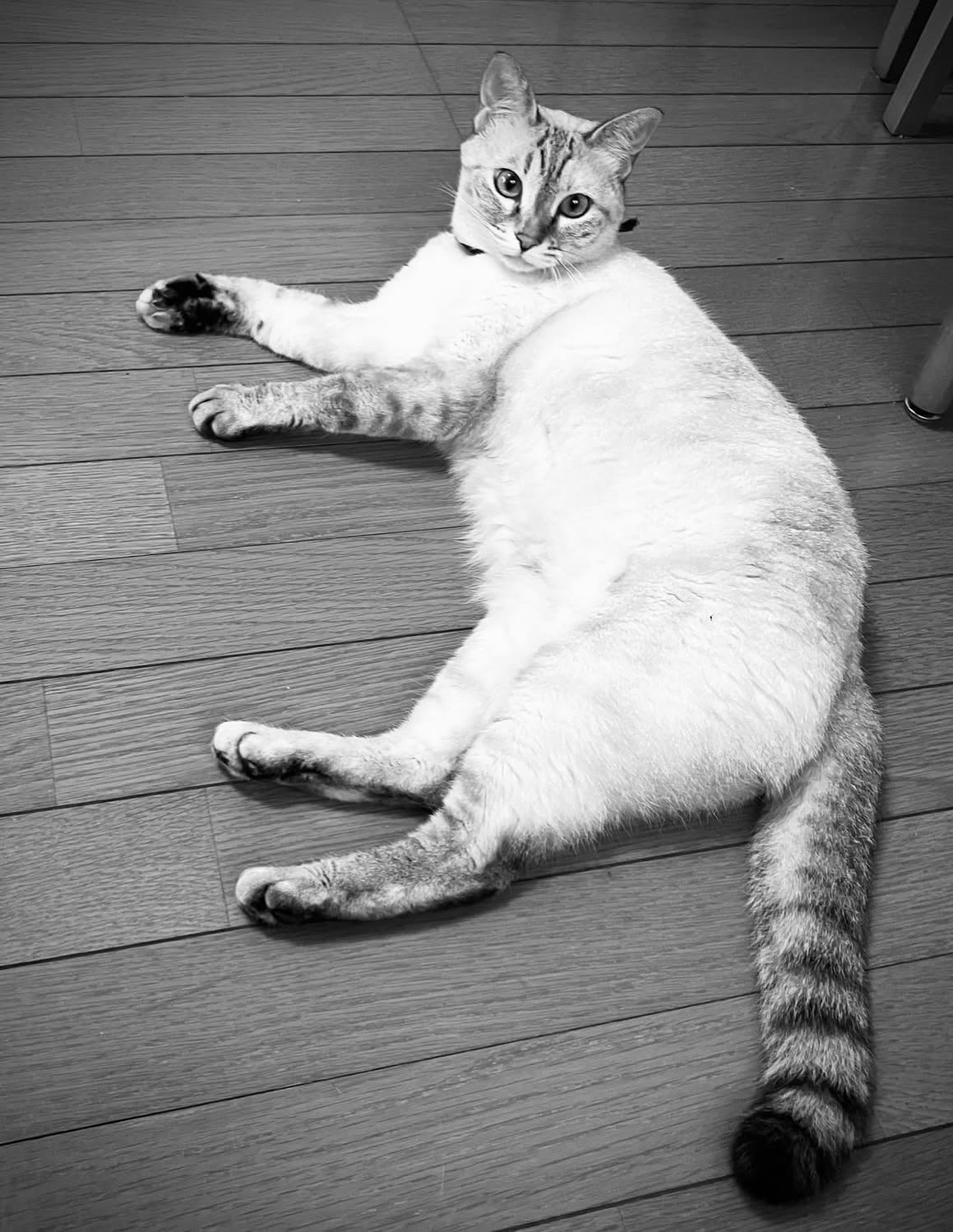 No.18839の写真