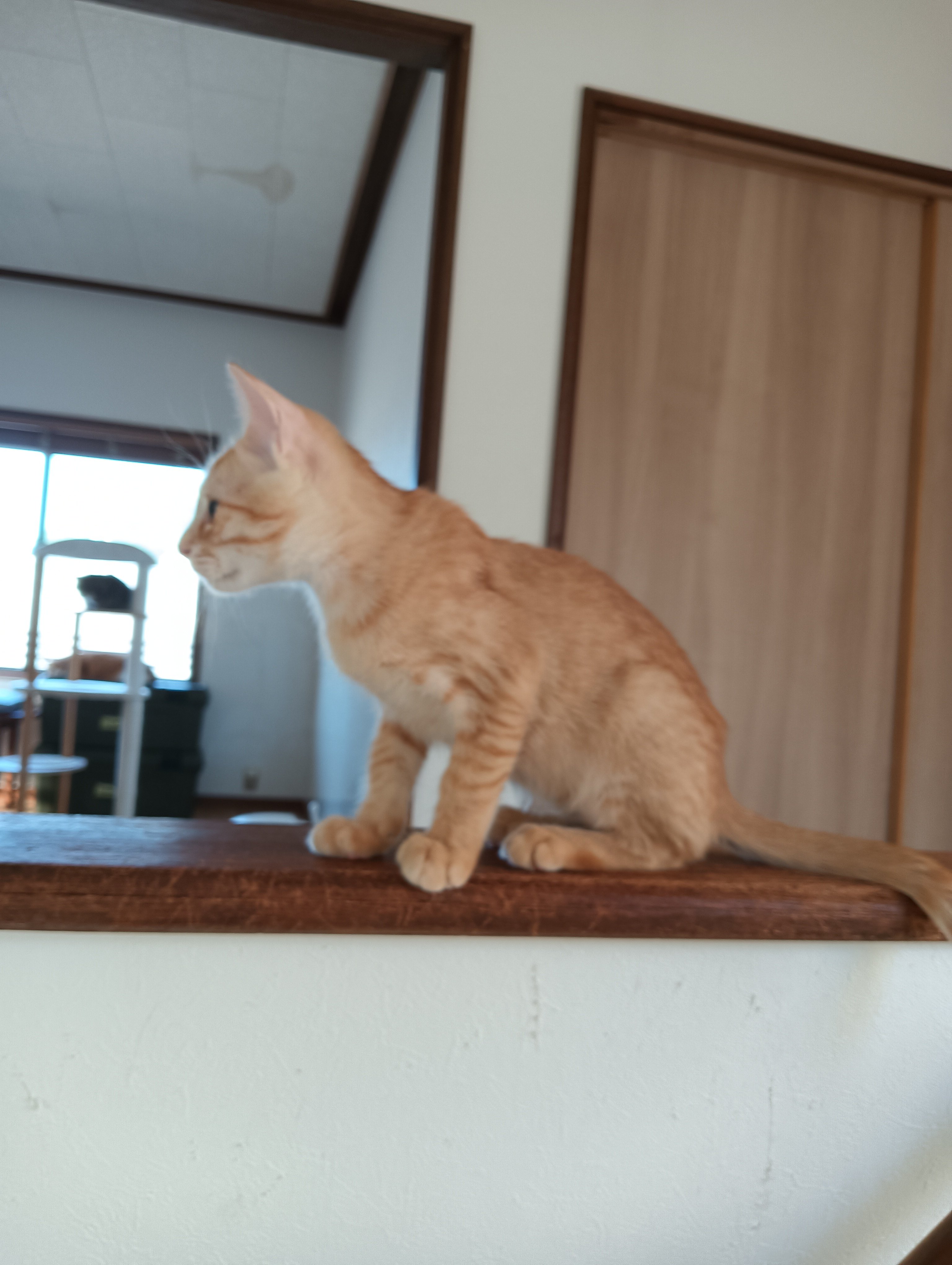 No.18902の写真