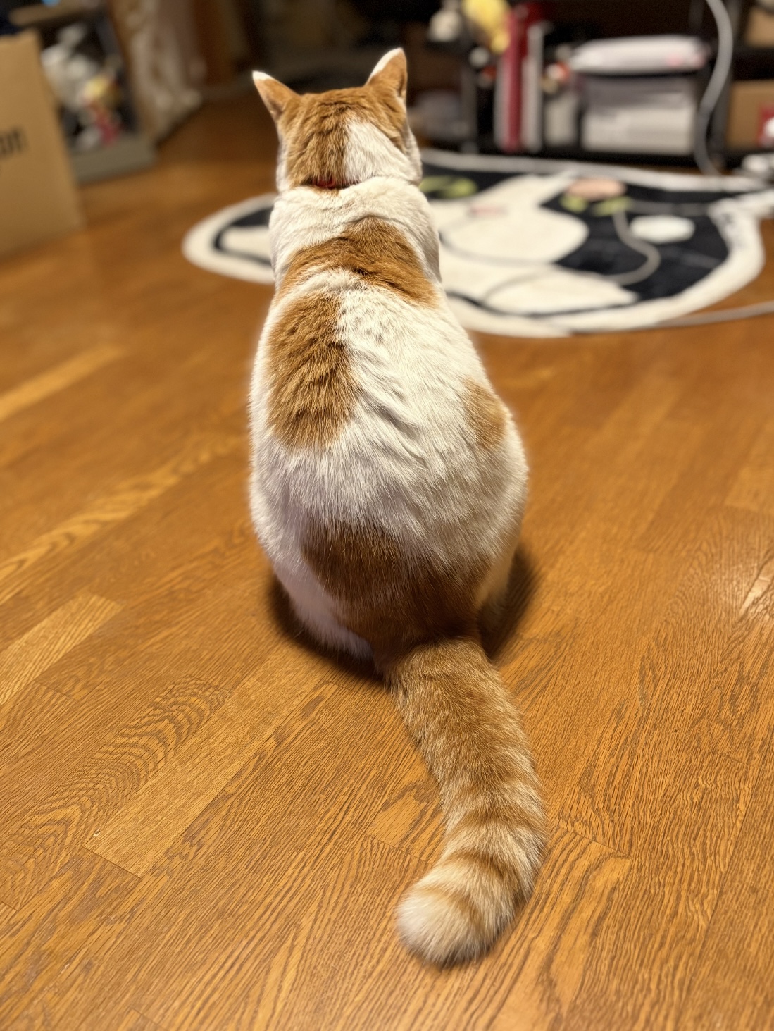 No.18829の写真