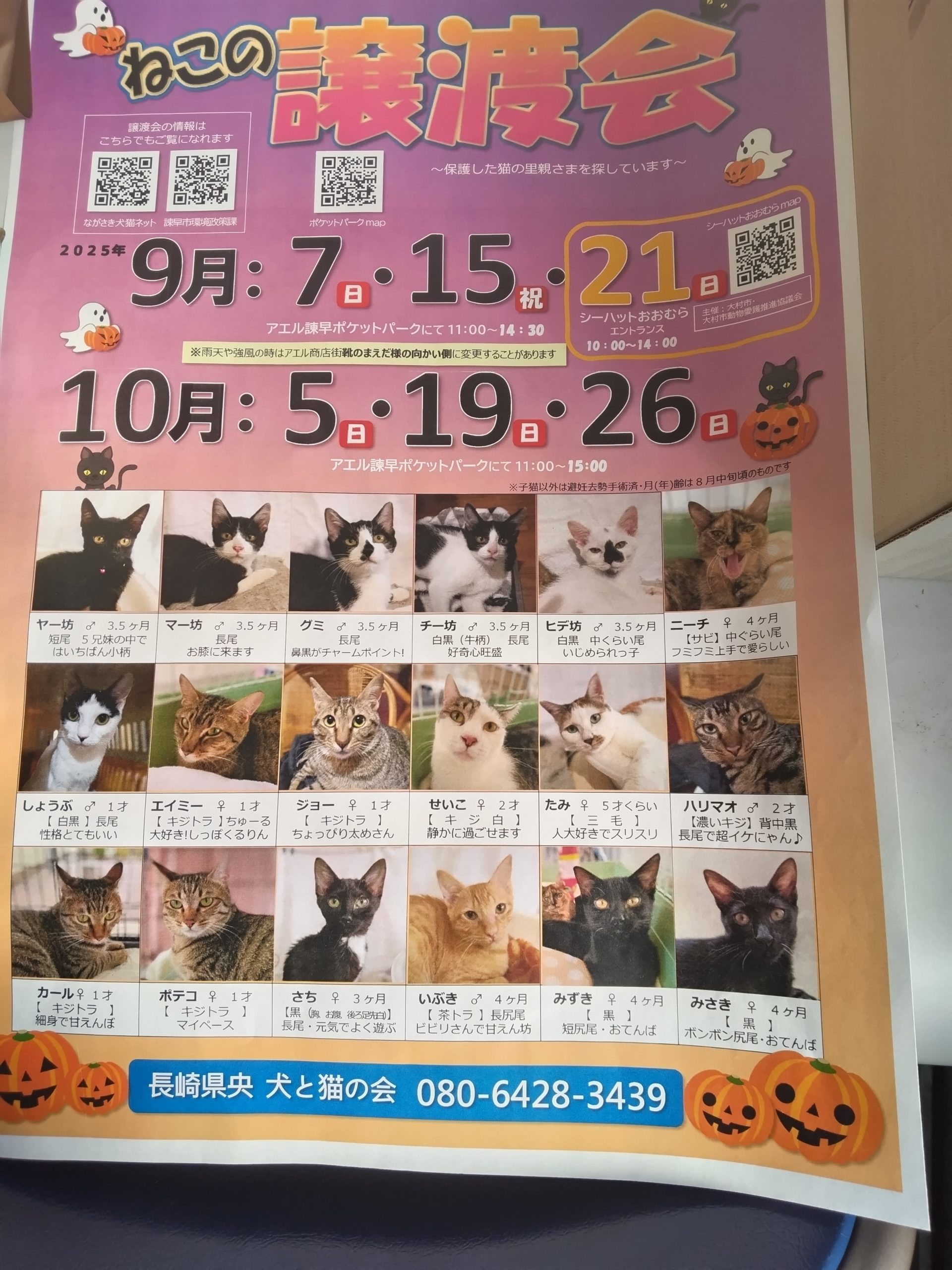 No.18718の写真
