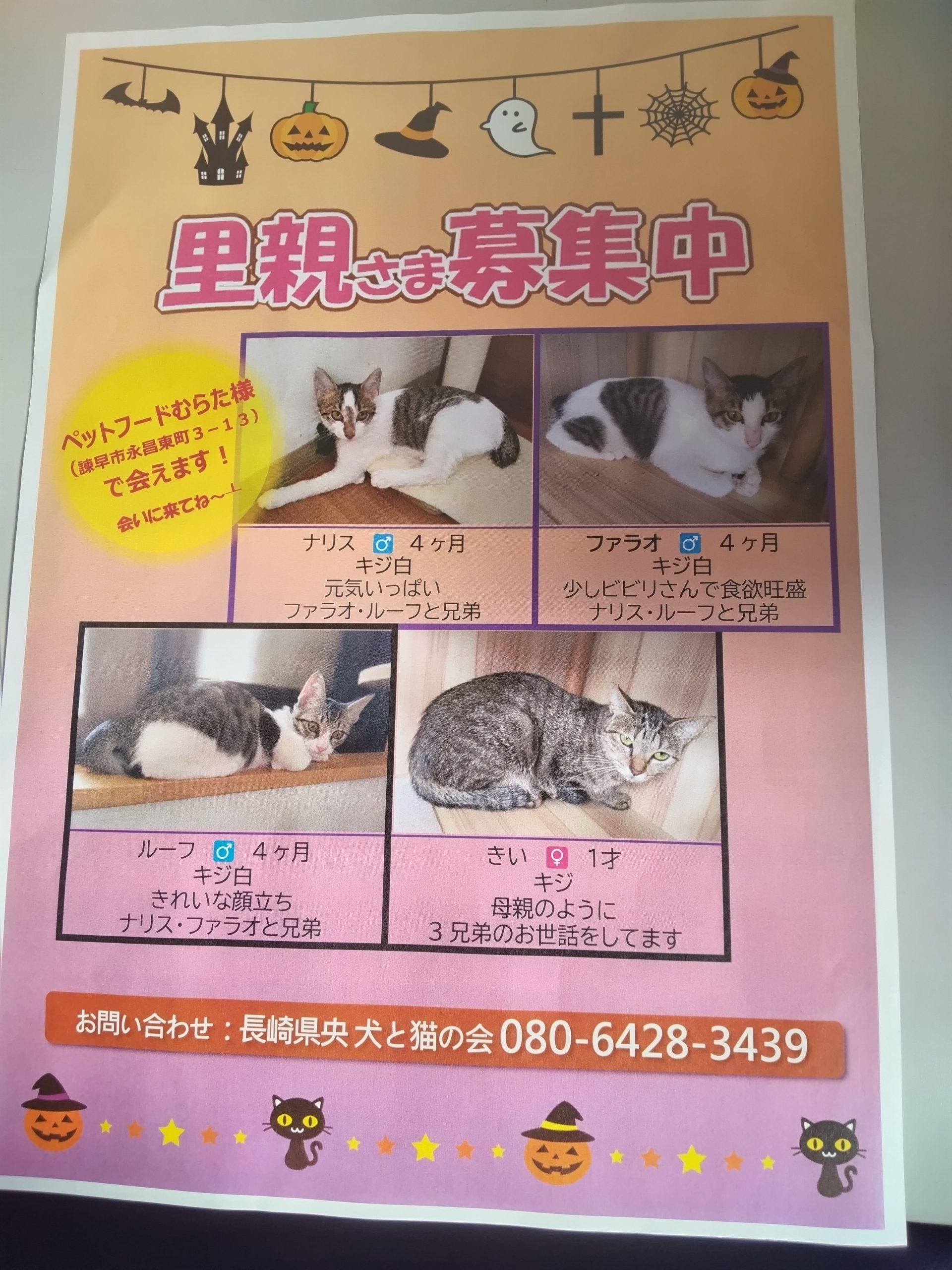 No.18718の写真