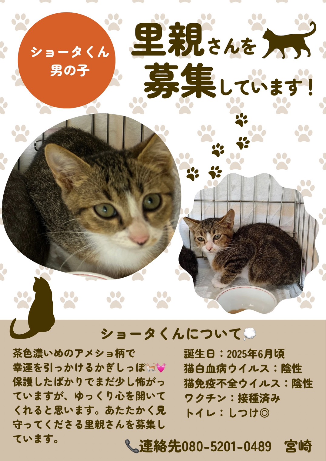 No.19002の写真