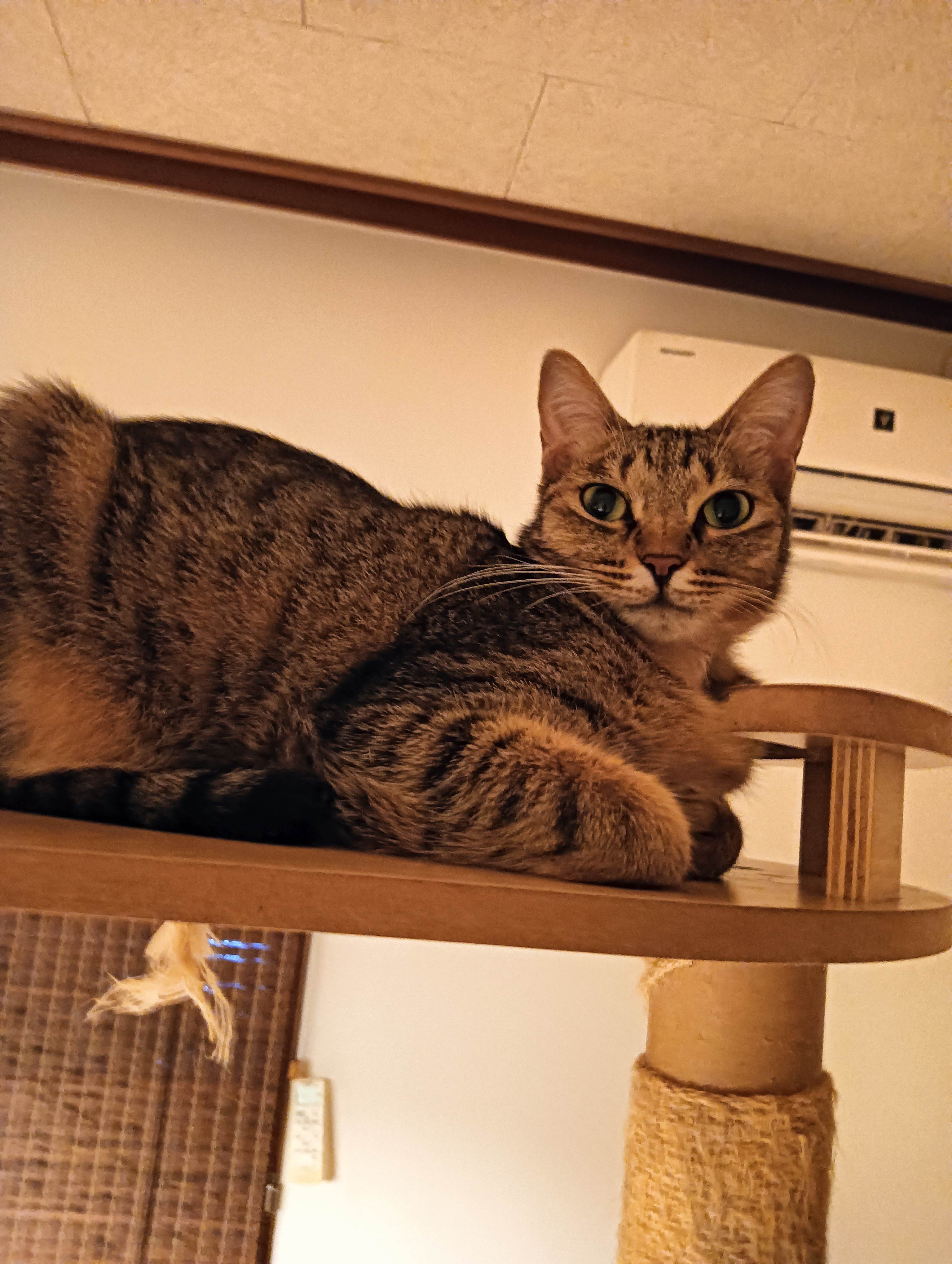 No.19024の写真